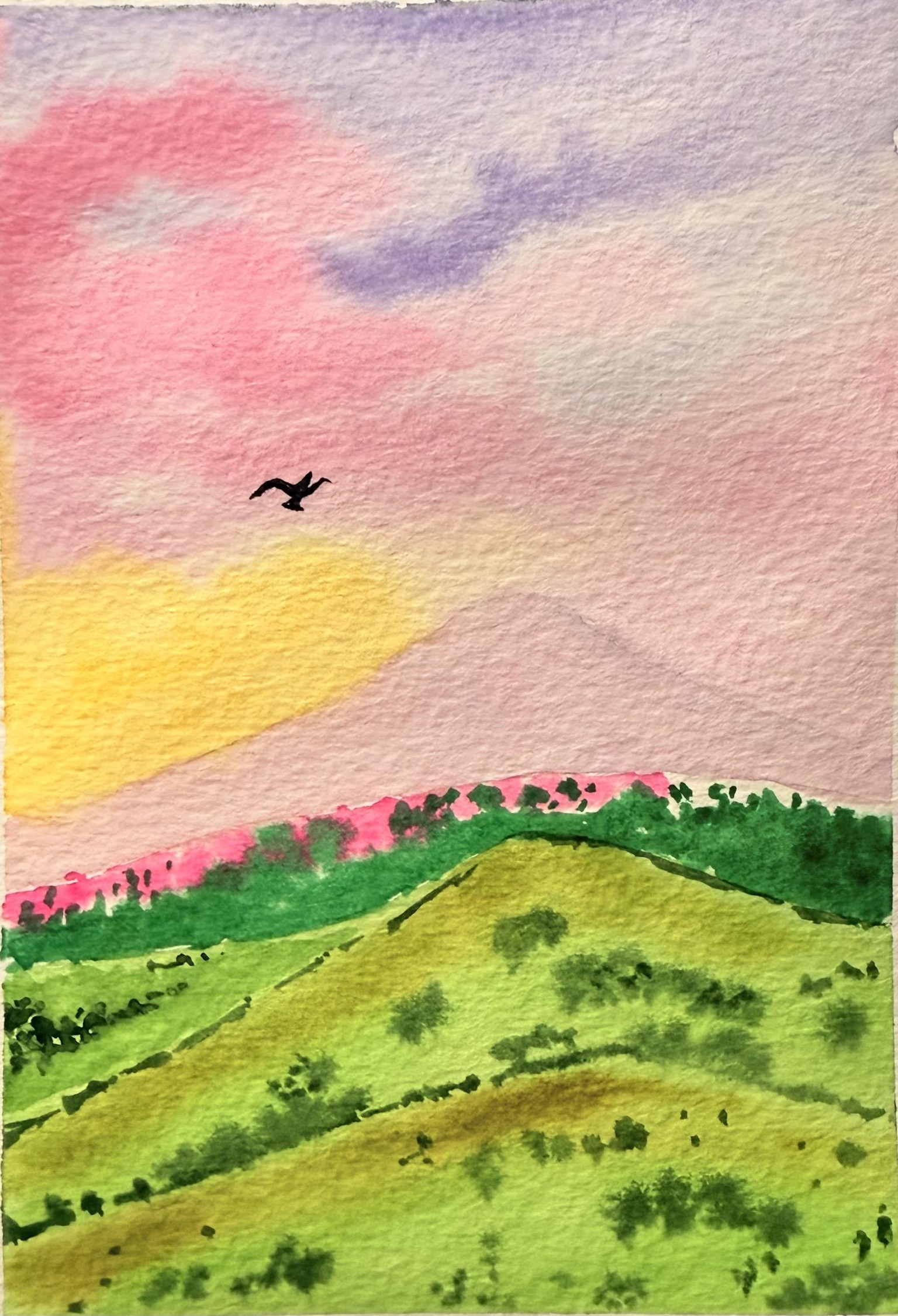 Nature in water colour - image 8 - student project