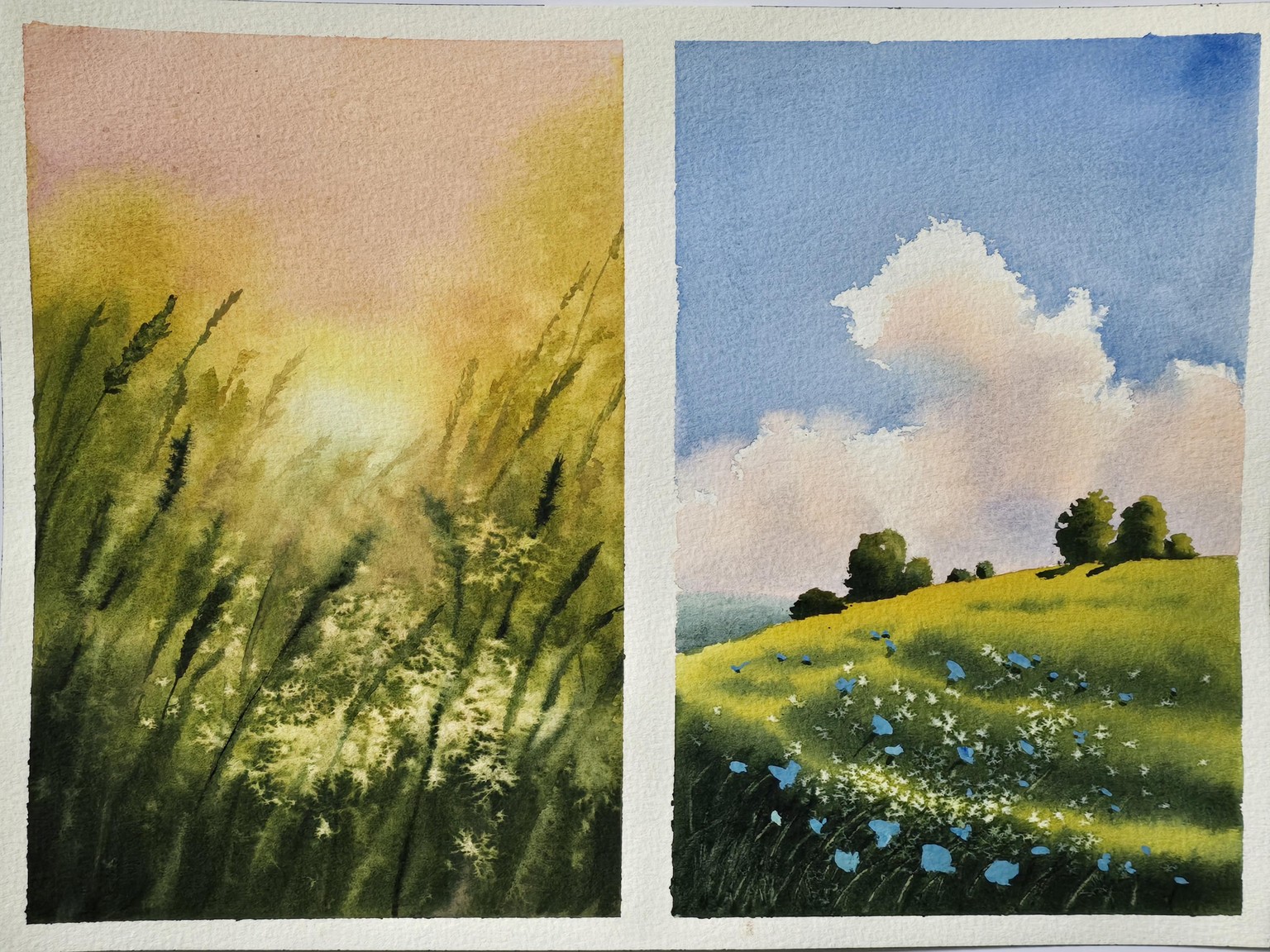 Spring landscapes - image 4 - student project