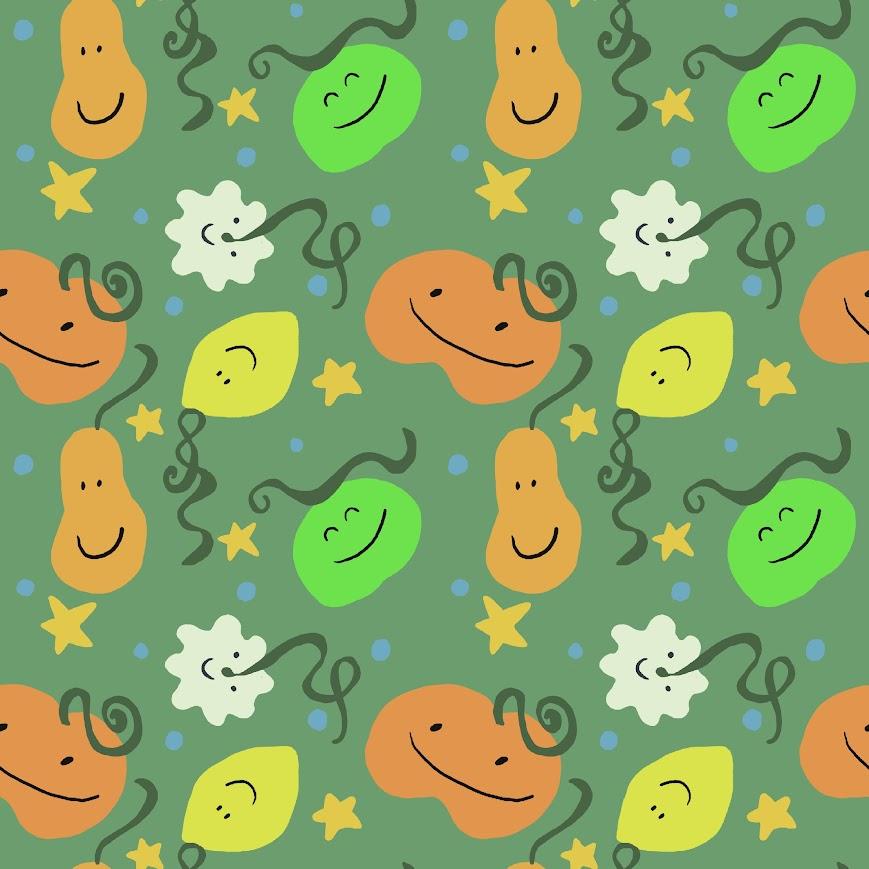 Cutie Squashes - image 1 - student project