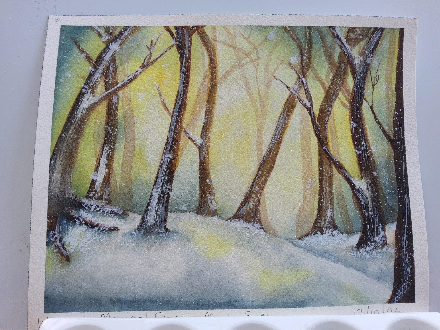 Magical Forests Made Easy - image 1 - student project