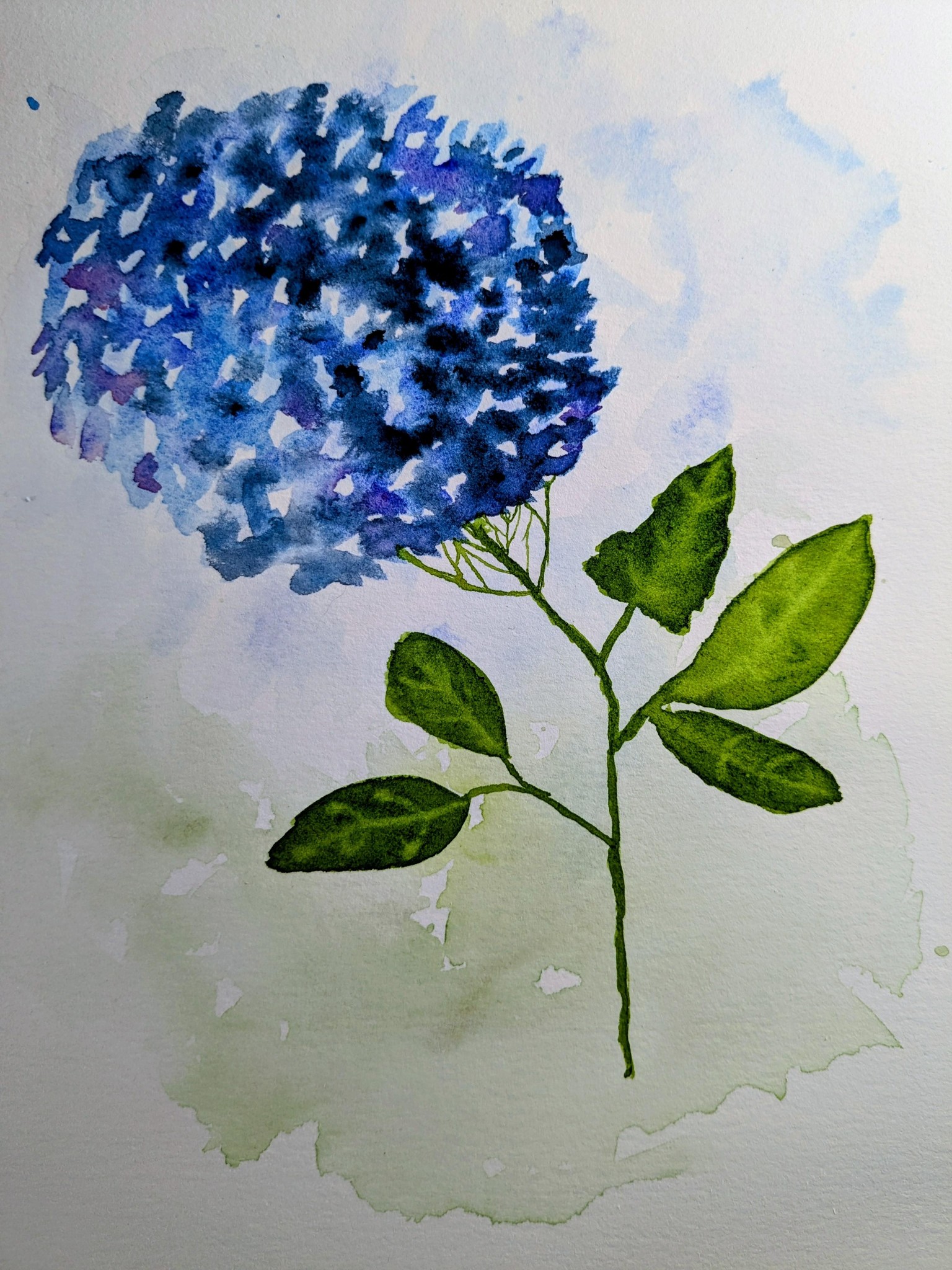 Addendum Loose Watercolor Hydrangea - image 1 - student project