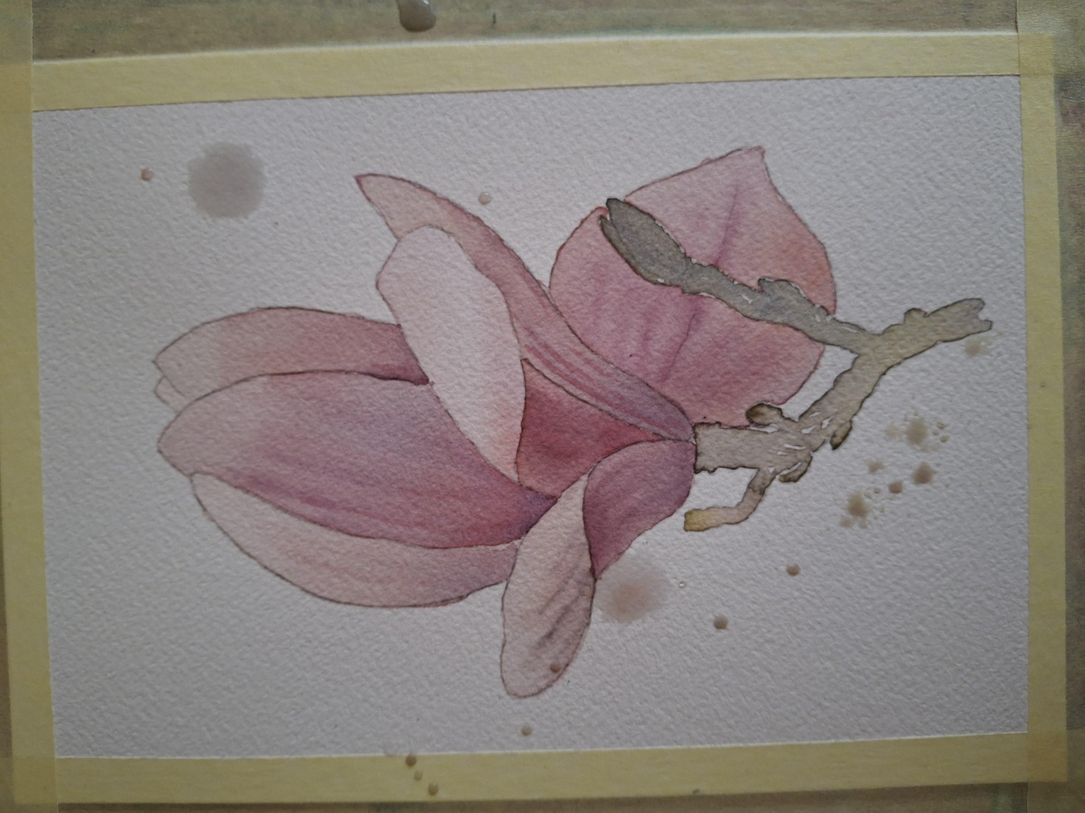 Improving magnolias - image 3 - student project