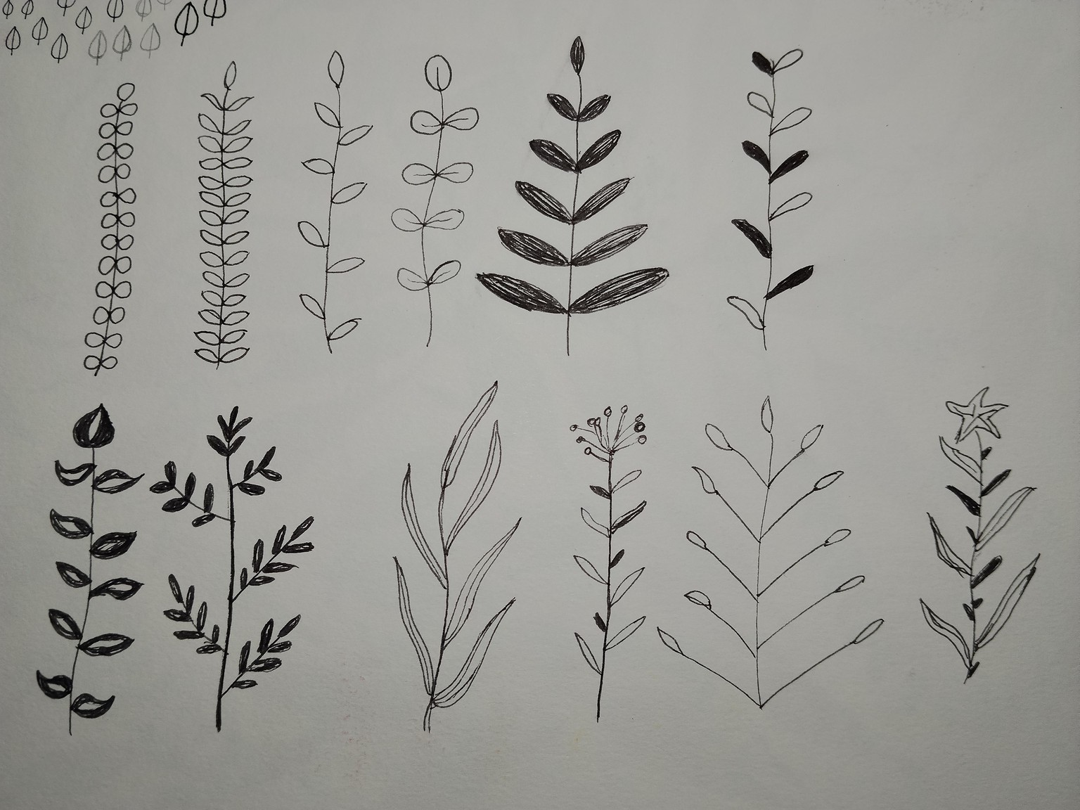 Drawing Wreaths - image 5 - student project