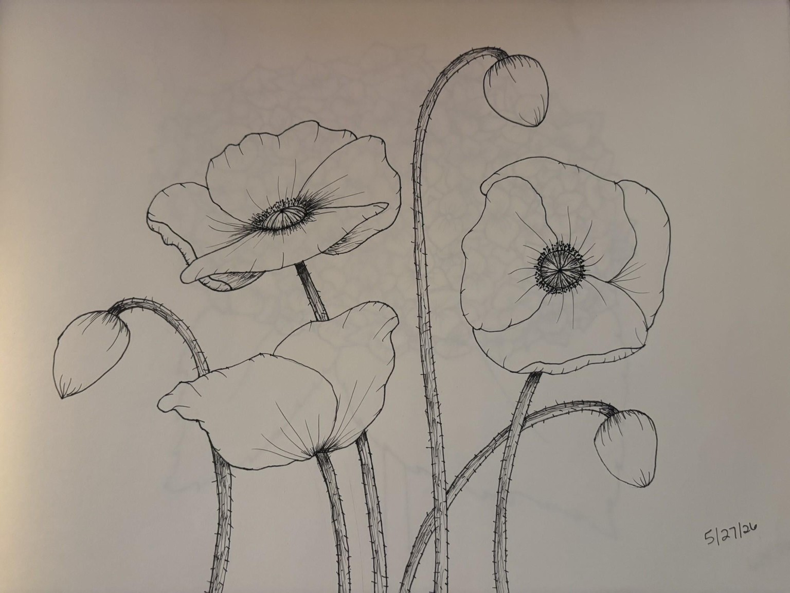 Flower Drawings - image 8 - student project