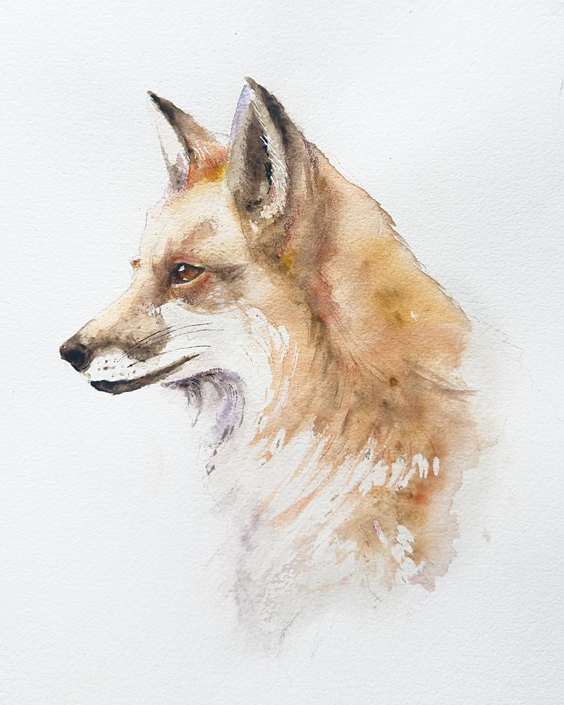Fox Practice Piece - image 1 - student project