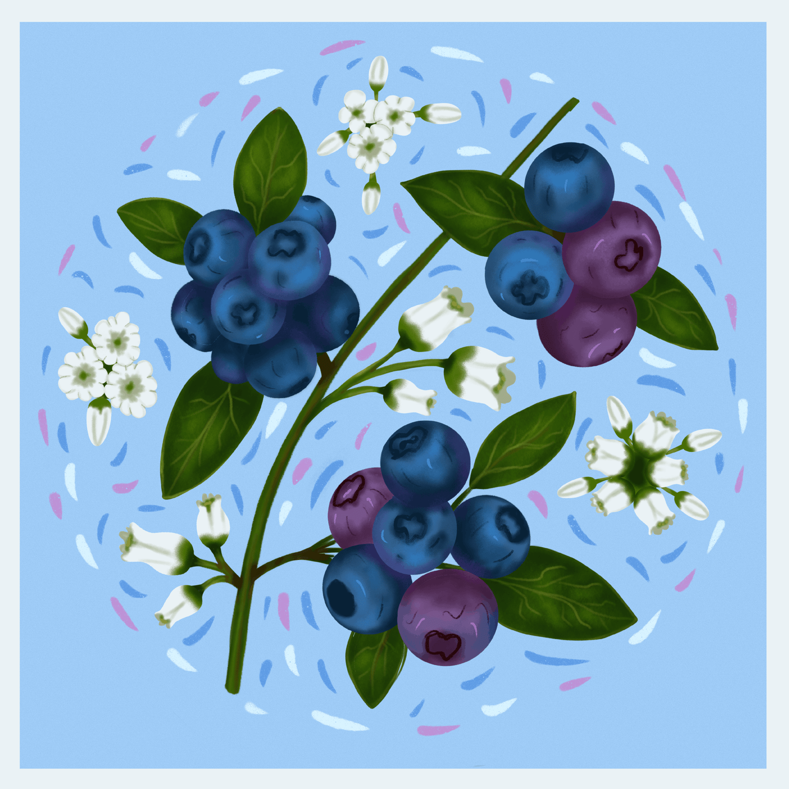 Happy blueberry - image 1 - student project