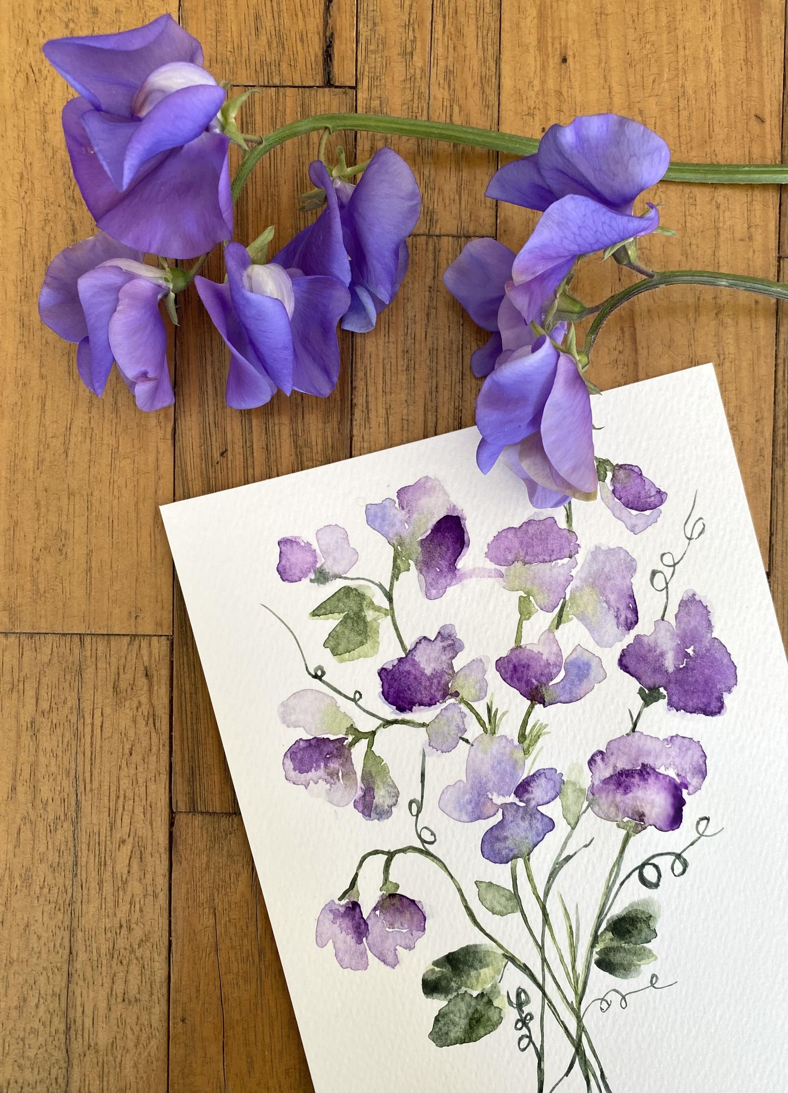 Watercolour sweet pea - image 1 - student project