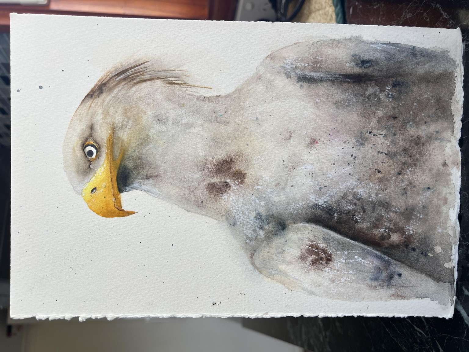 Eagle - image 1 - student project