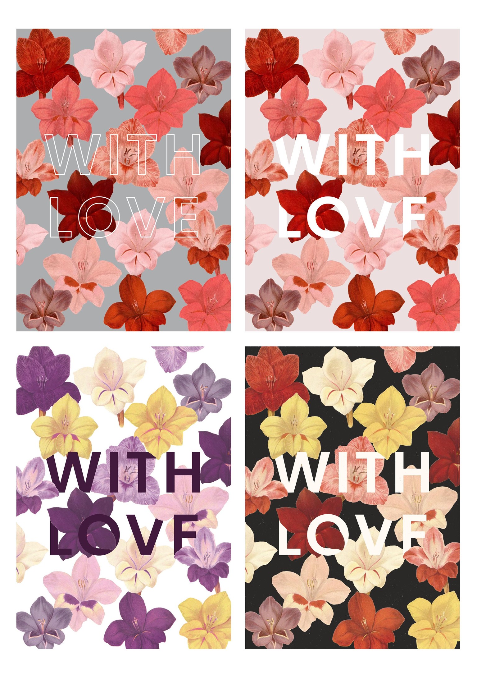 Gladiolus With Love Card - image 4 - student project