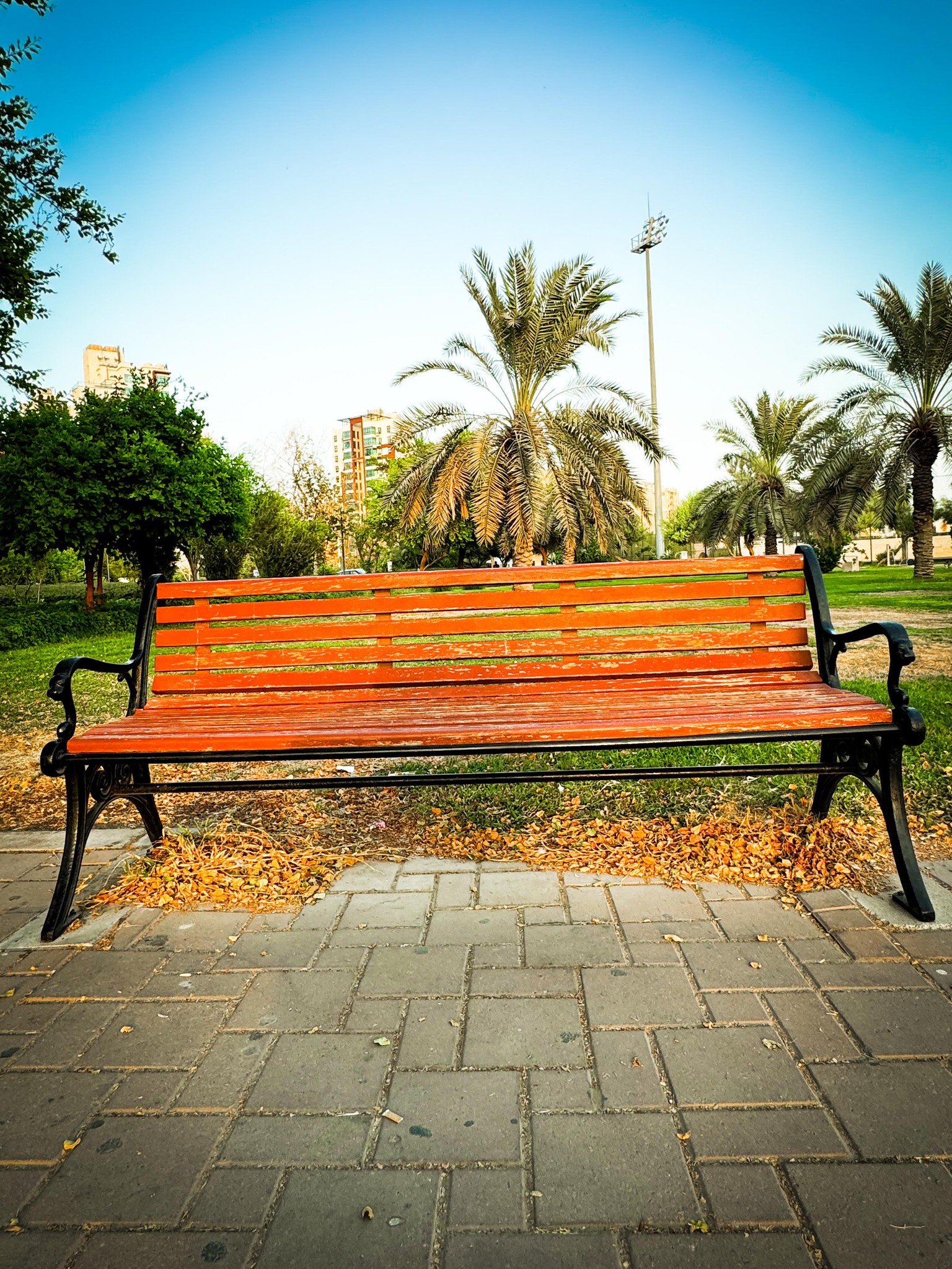 Bench - image 4 - student project