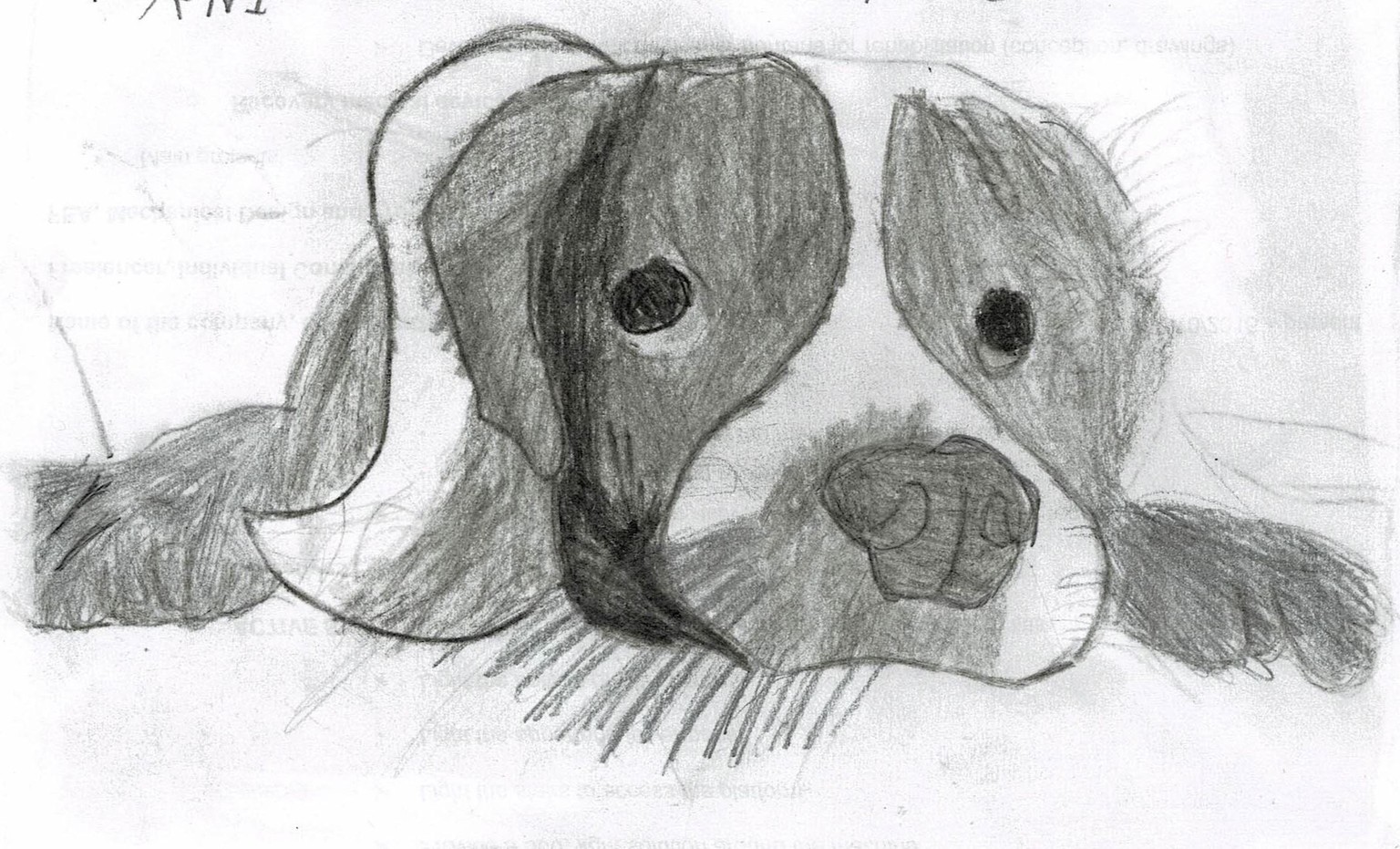 Our drawings - image 1 - student project