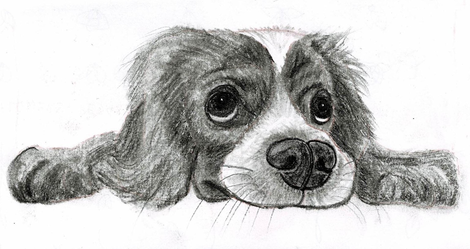 Our drawings - image 2 - student project
