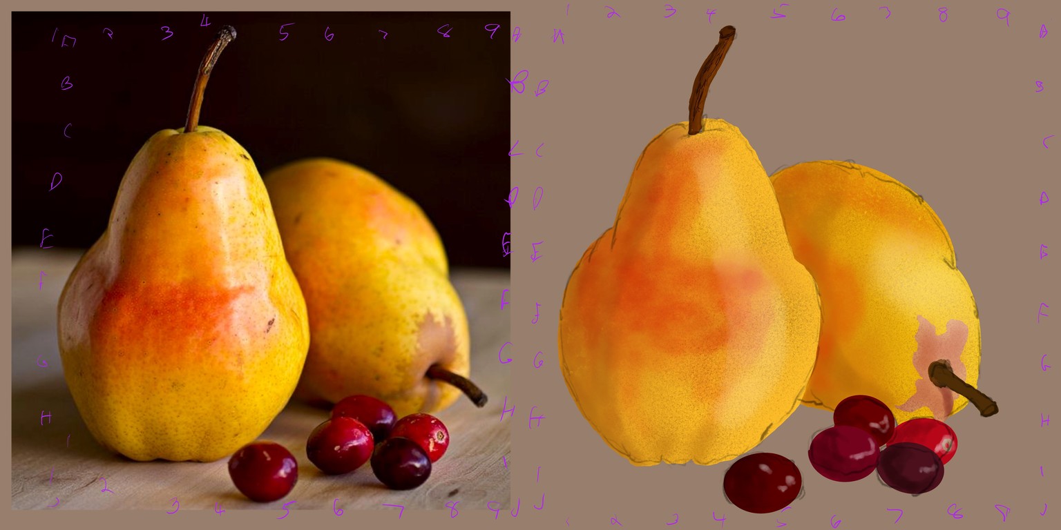 Pears and cranberries - image 3 - student project