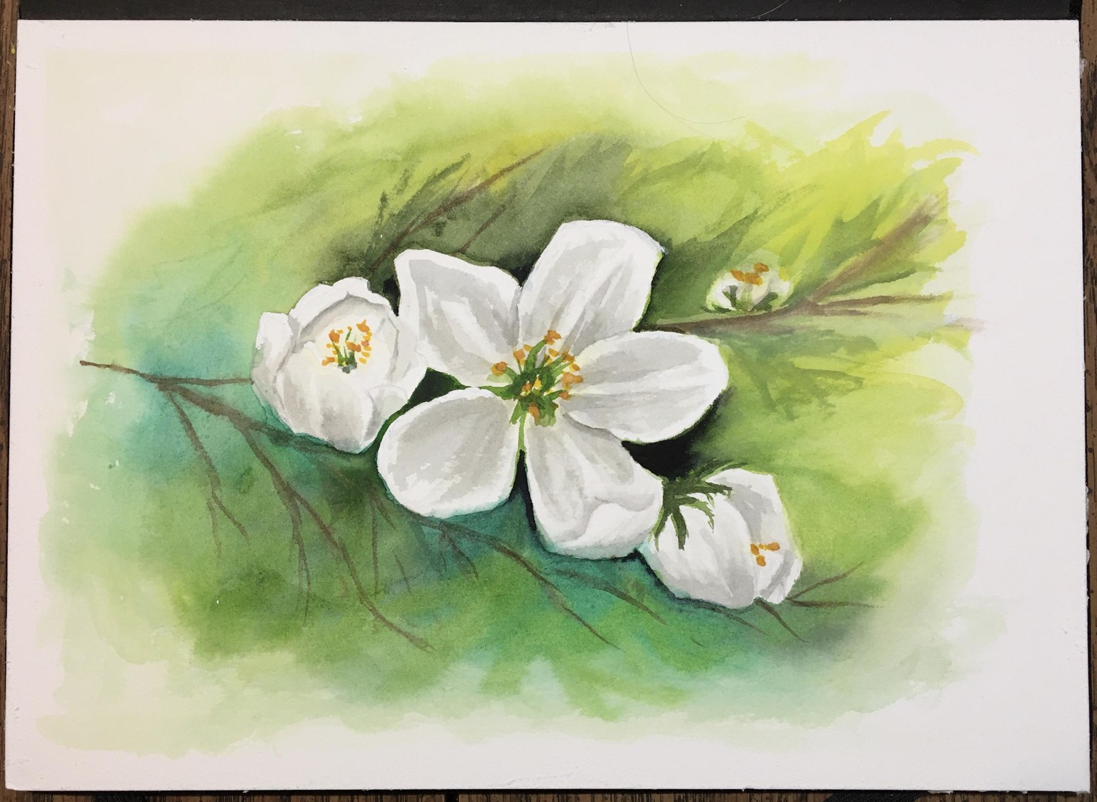 White flowers - image 1 - student project