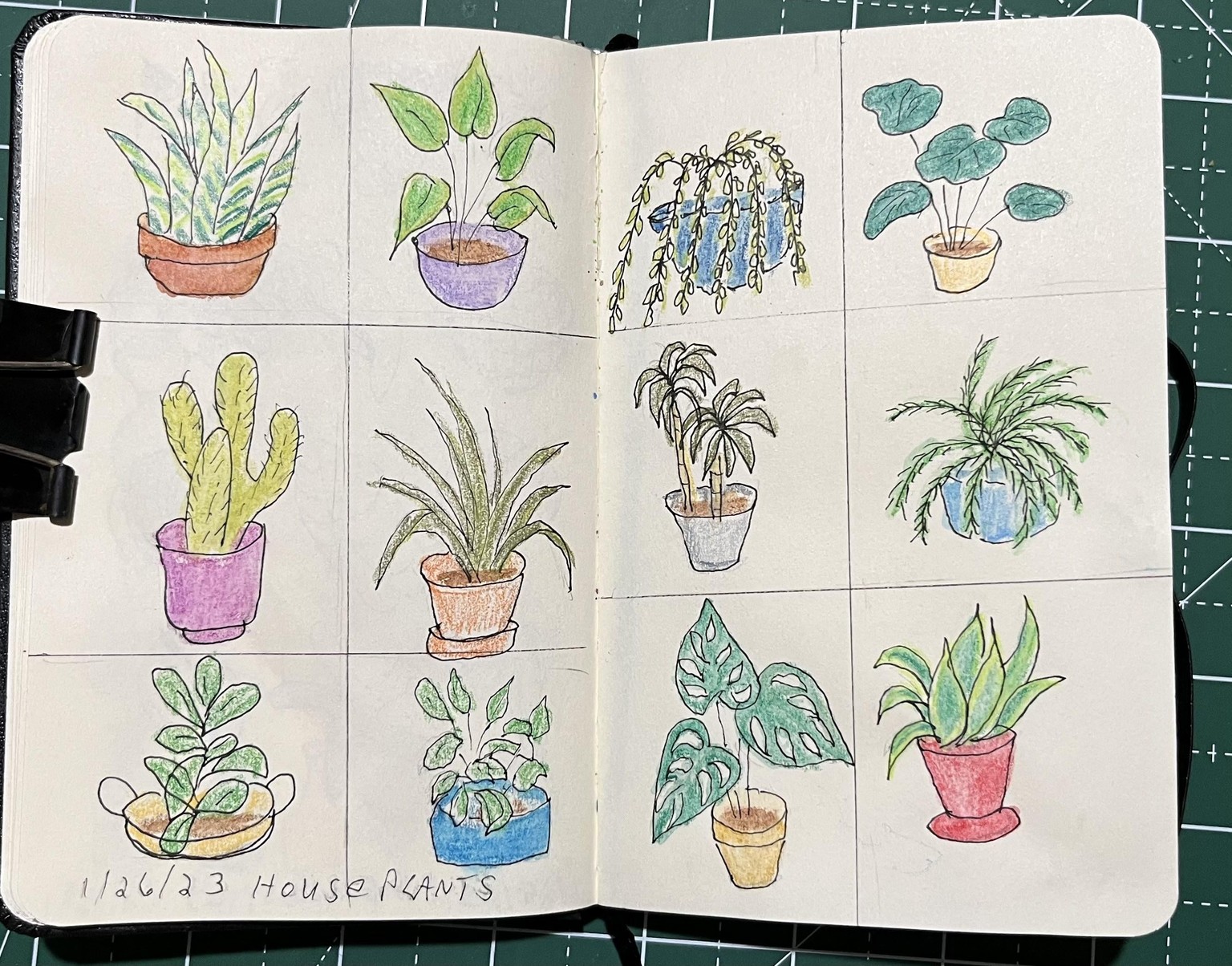 House Plants - image 1 - student project