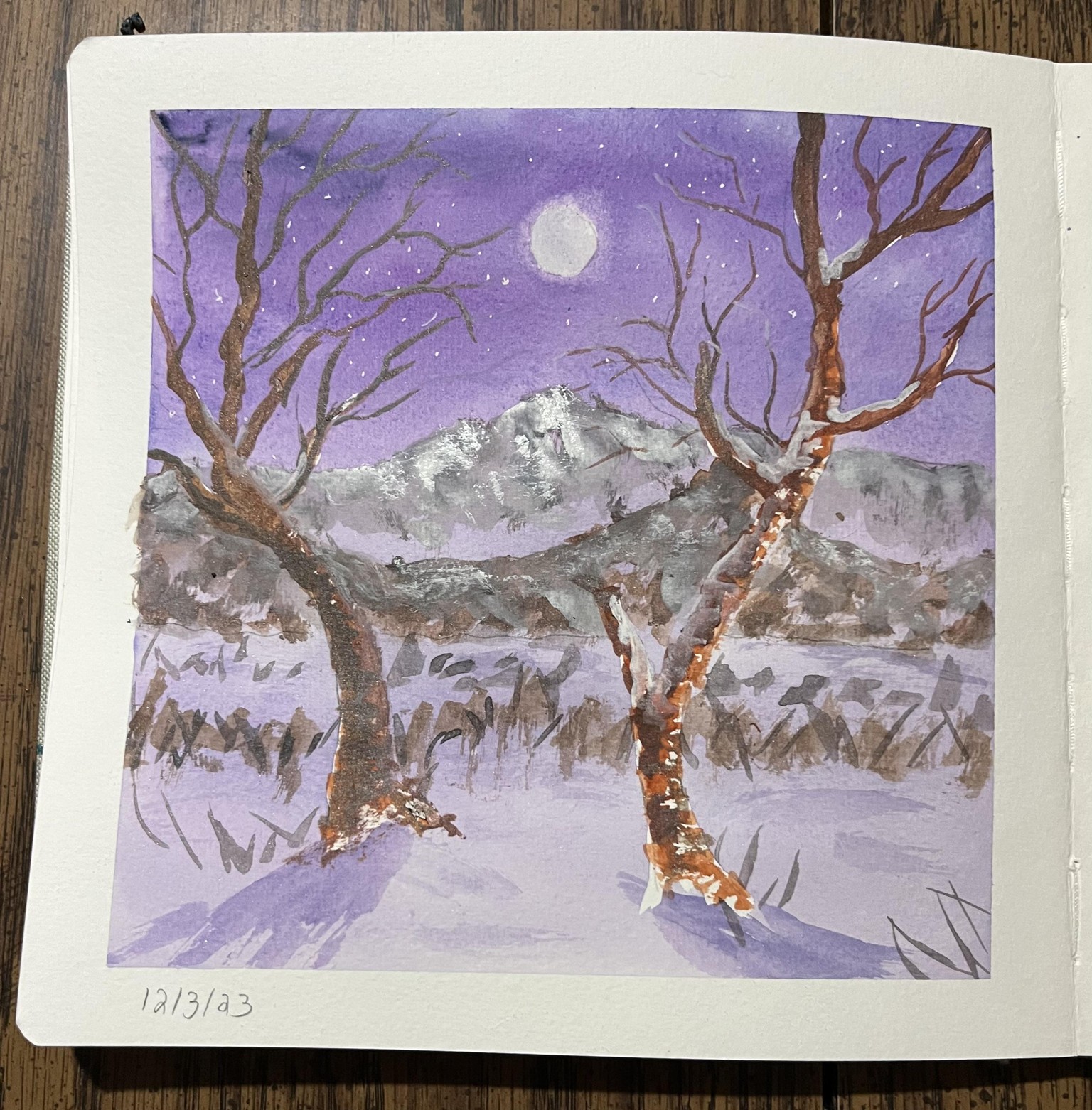 Winter WATERCOLOR - image 1 - student project