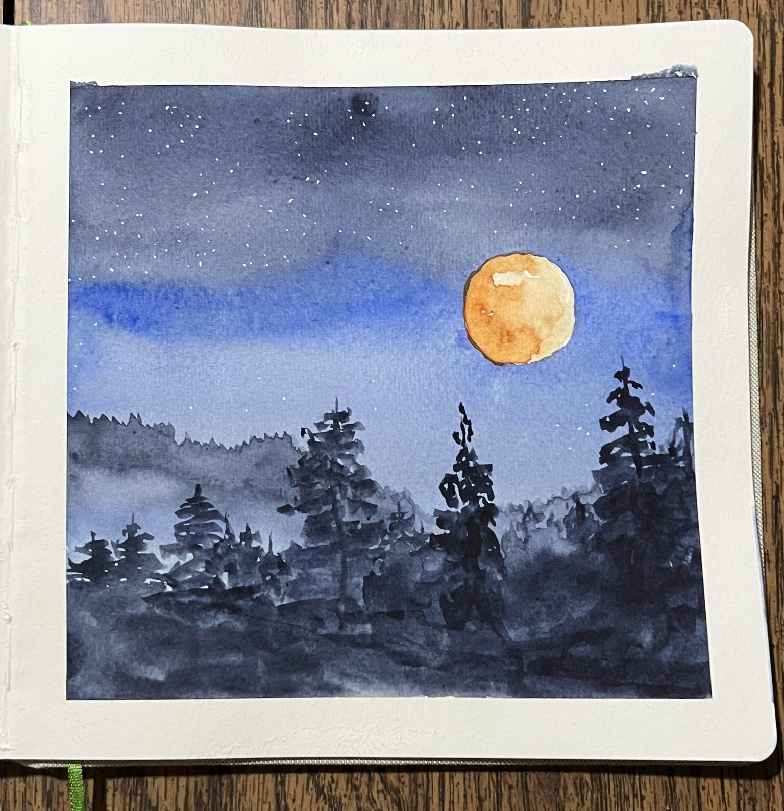 Winter WATERCOLOR - image 2 - student project