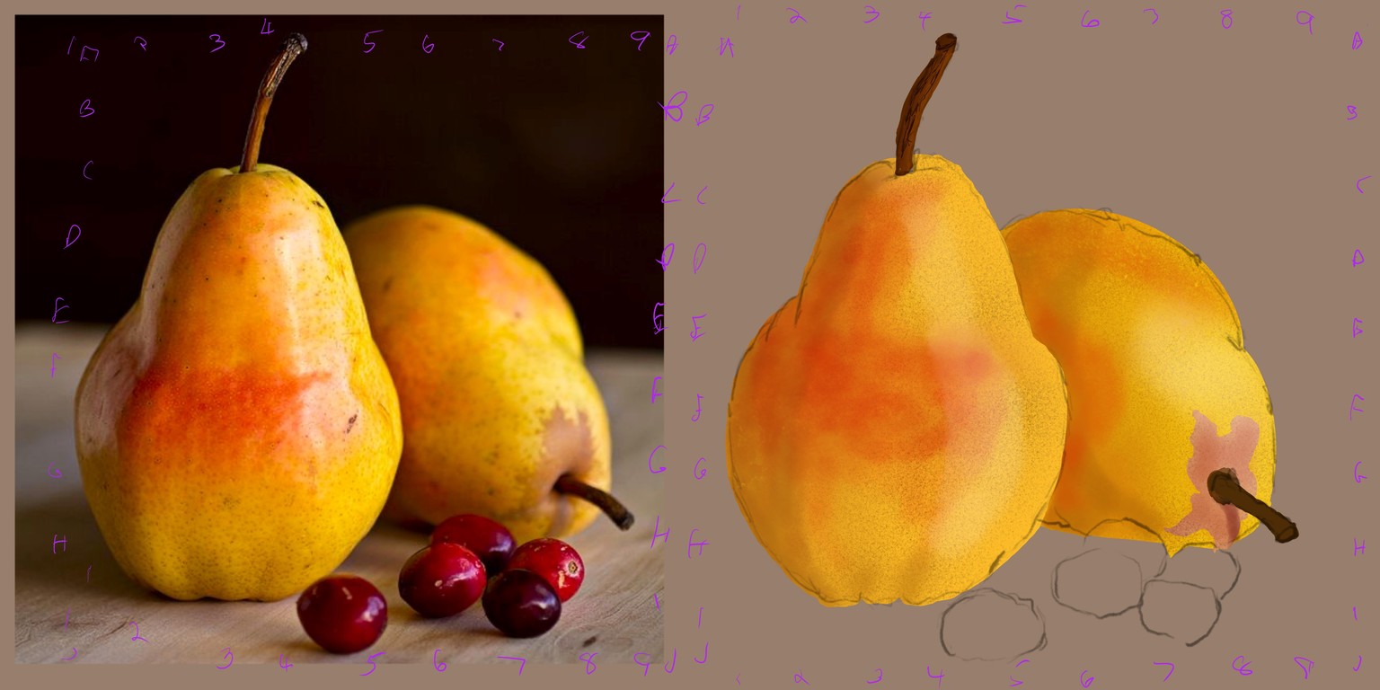 Pears and cranberries - image 2 - student project