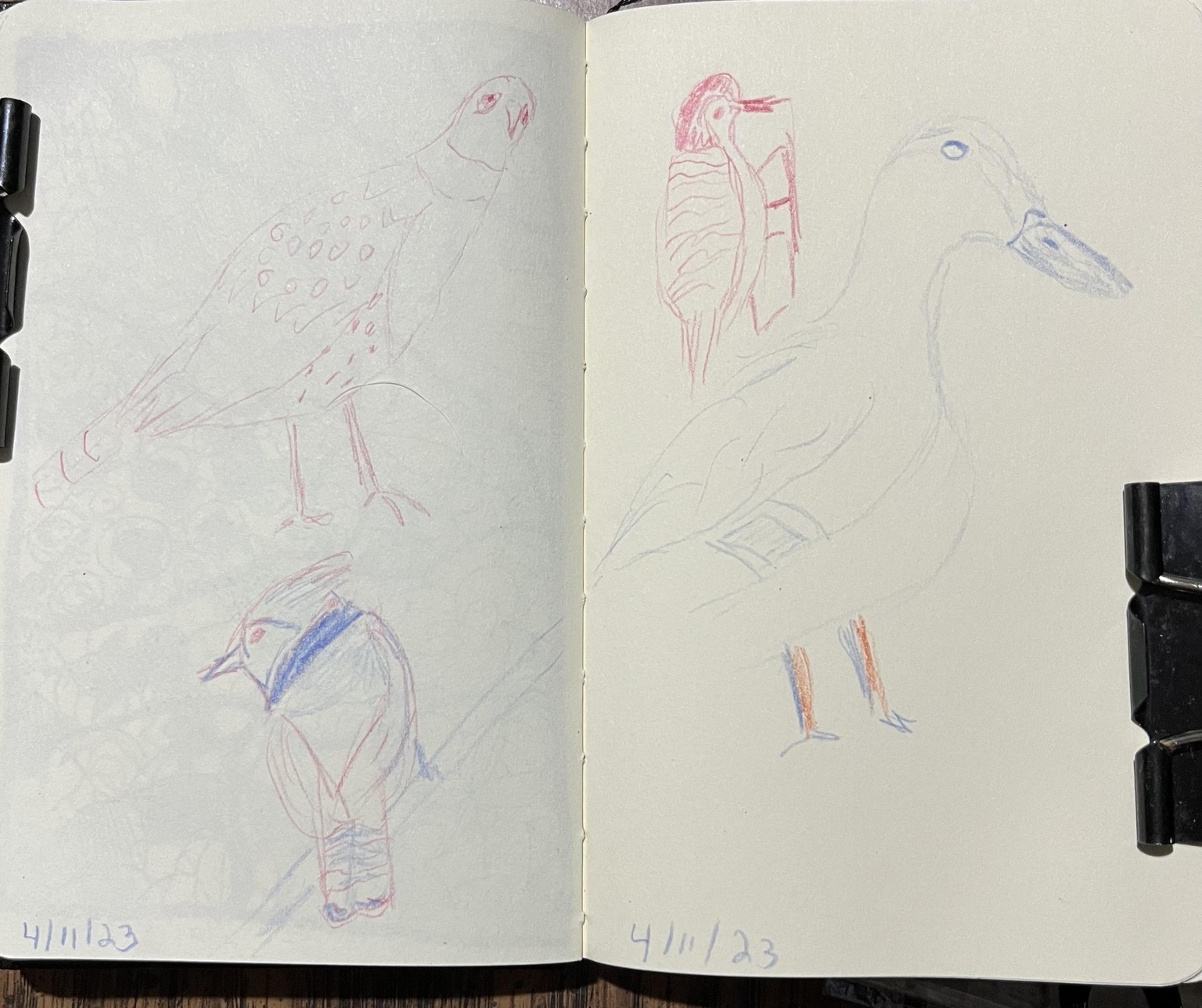 Flamingo - image 1 - student project