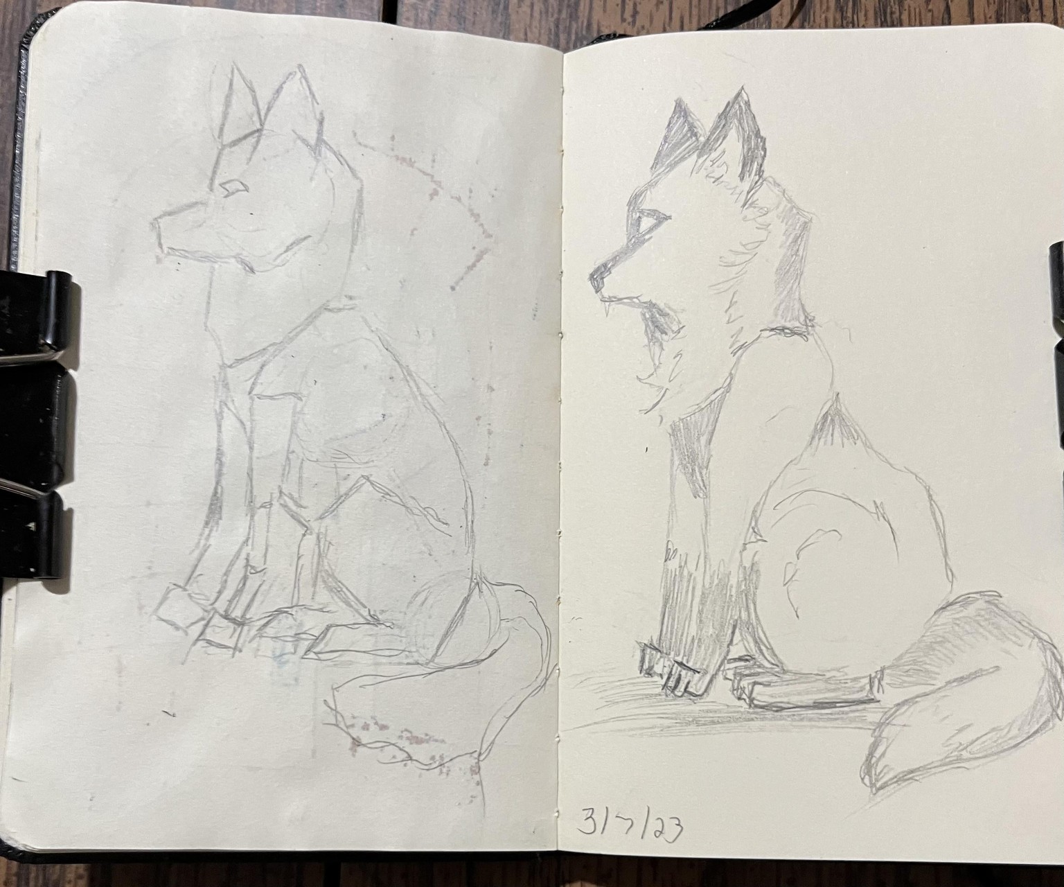 Fox sketch - image 1 - student project