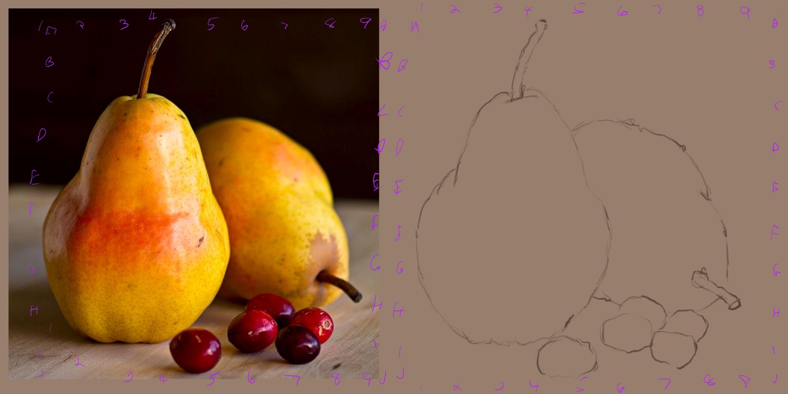 Pears and cranberries - image 1 - student project
