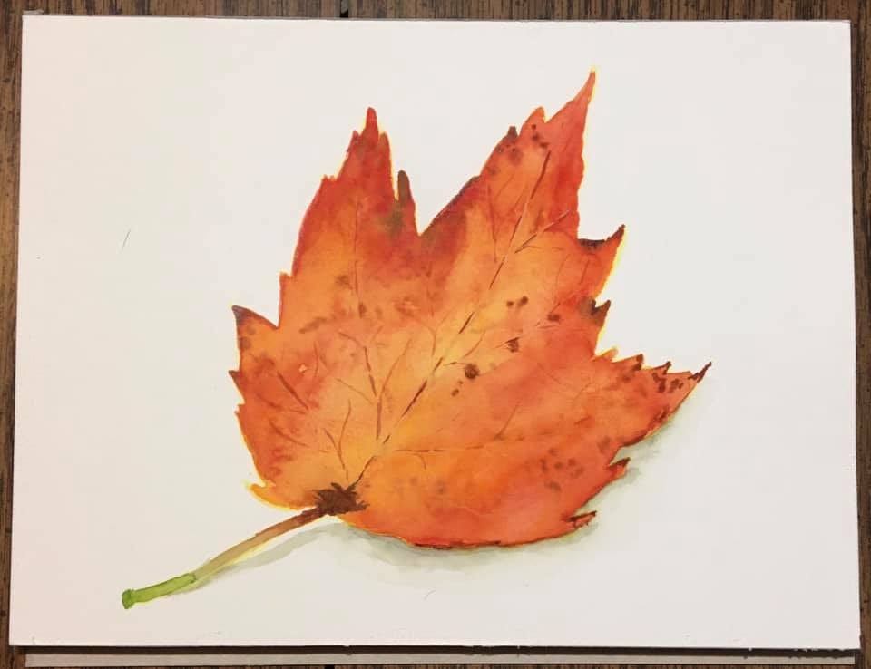 Fall Maple Leaf - image 1 - student project
