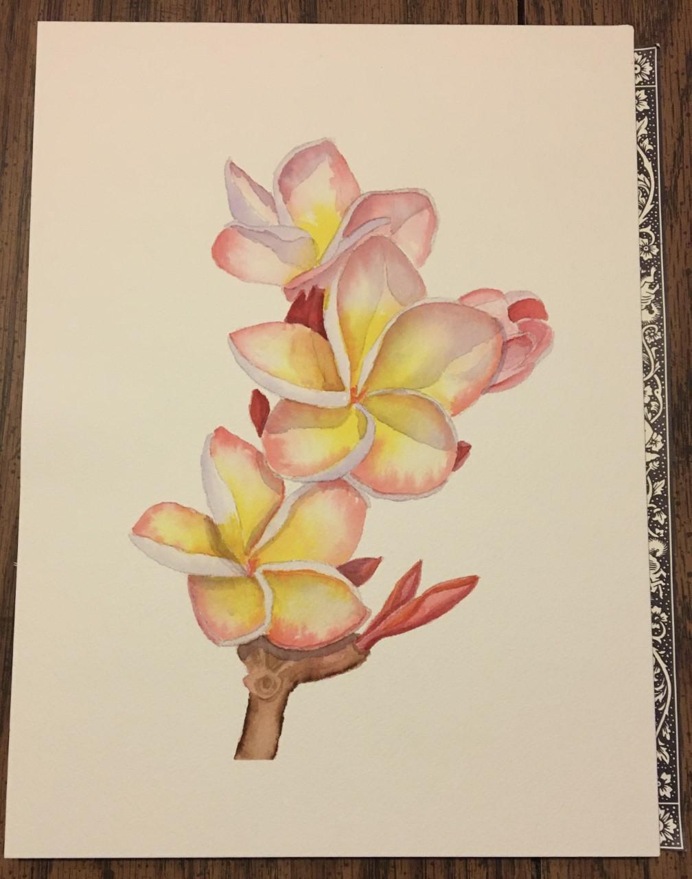 Plumeria class project - image 1 - student project