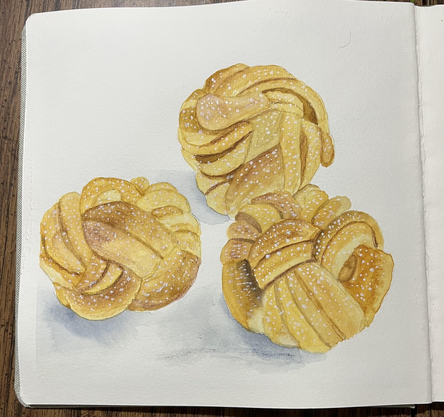 Cinnamon Bun Knots - image 1 - student project