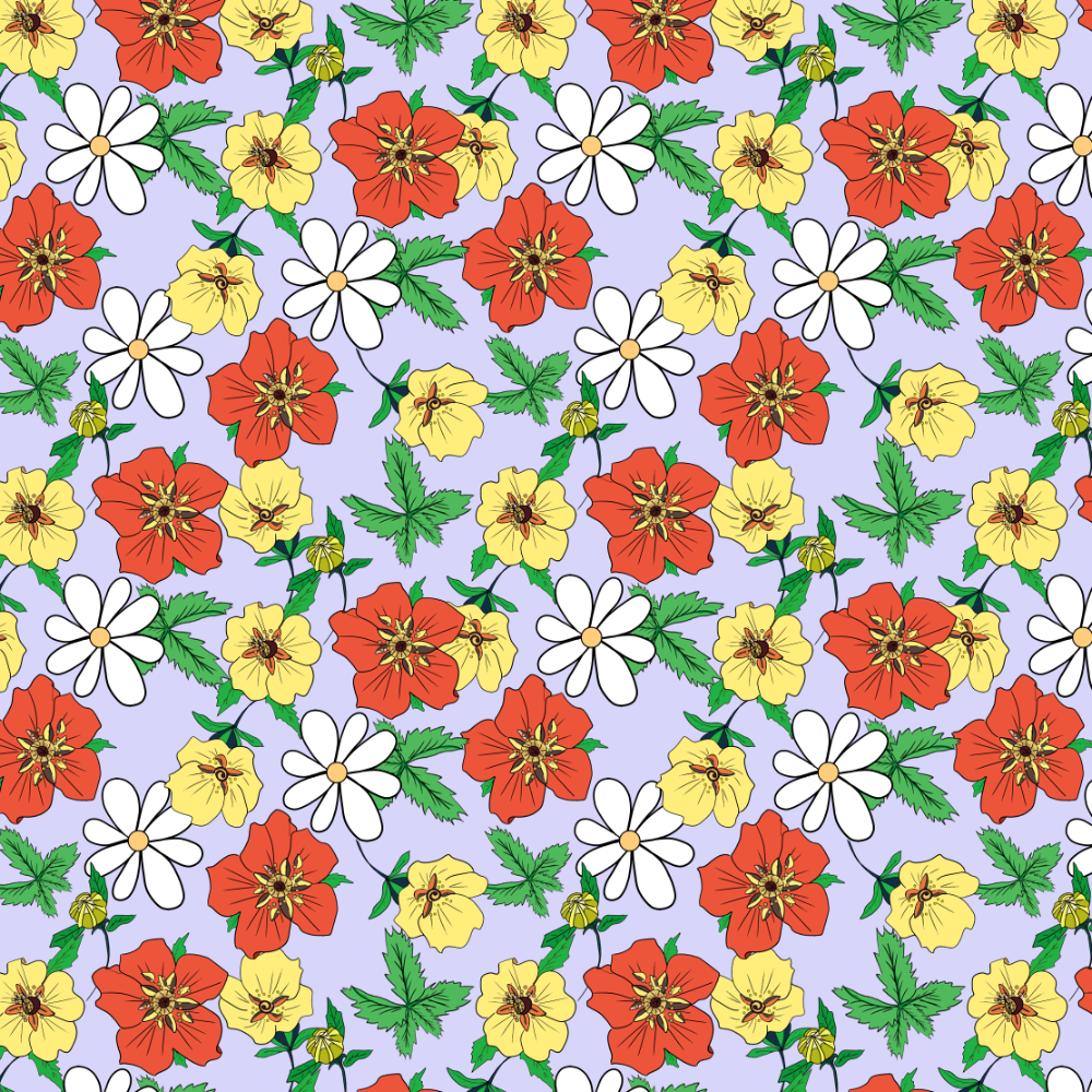 Potentillas and daisy - image 2 - student project