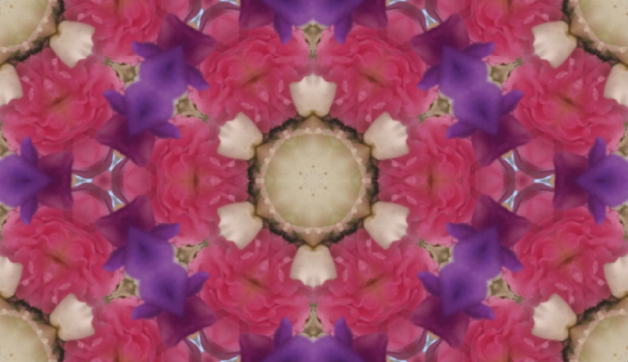 Roses and Sweet Peas - image 1 - student project