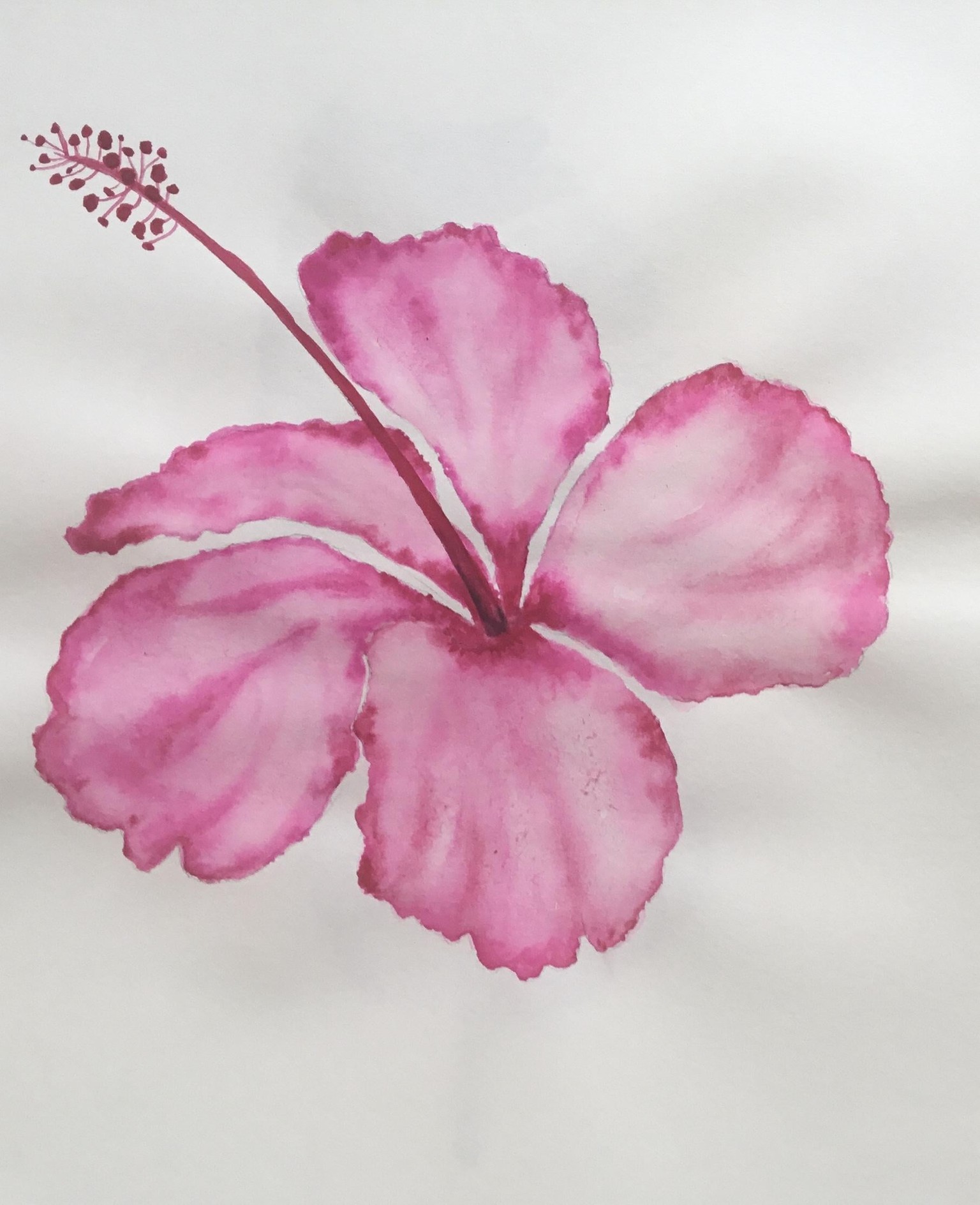 Tropical watercolor - image 3 - student project