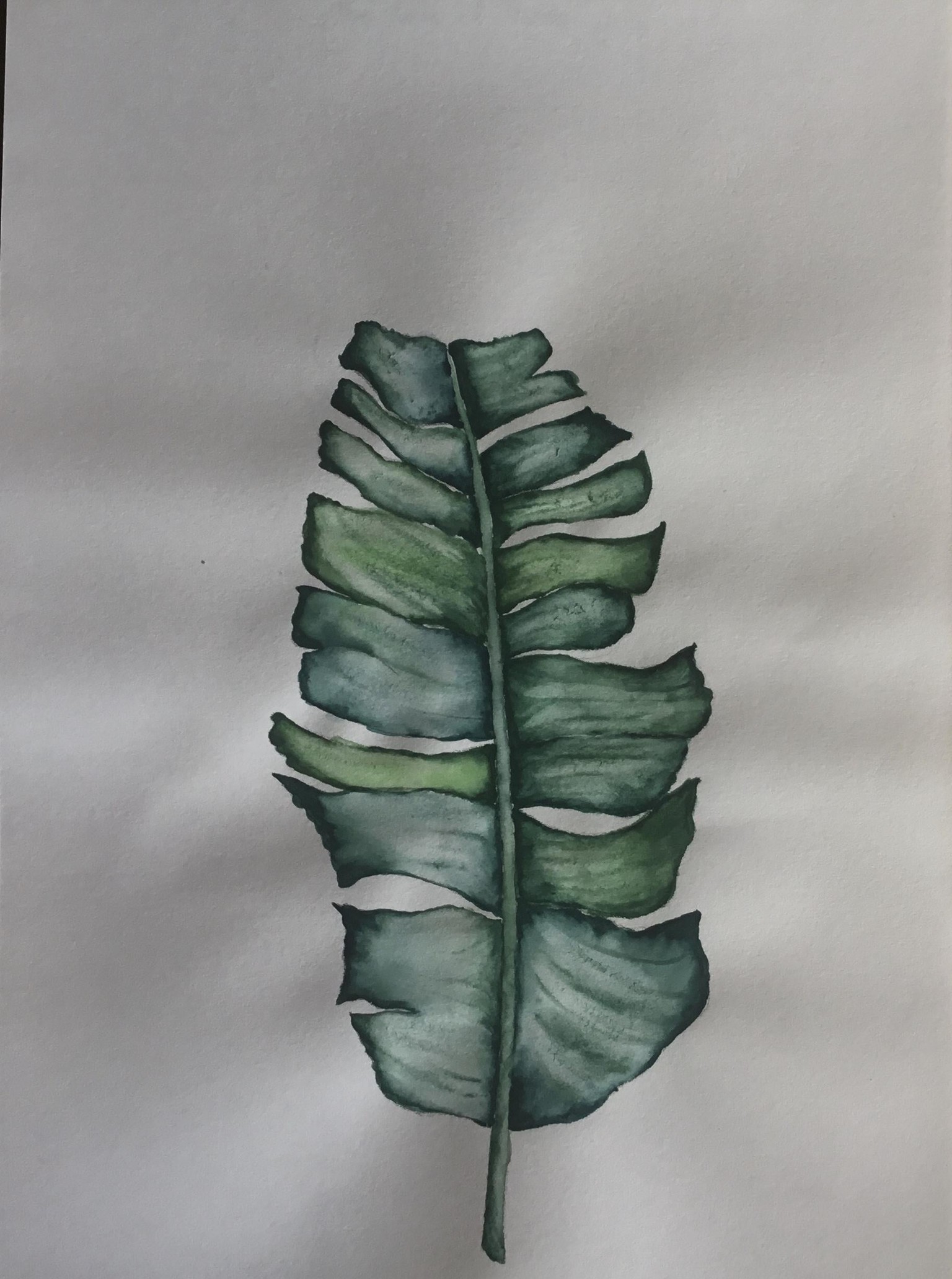 Tropical watercolor - image 4 - student project