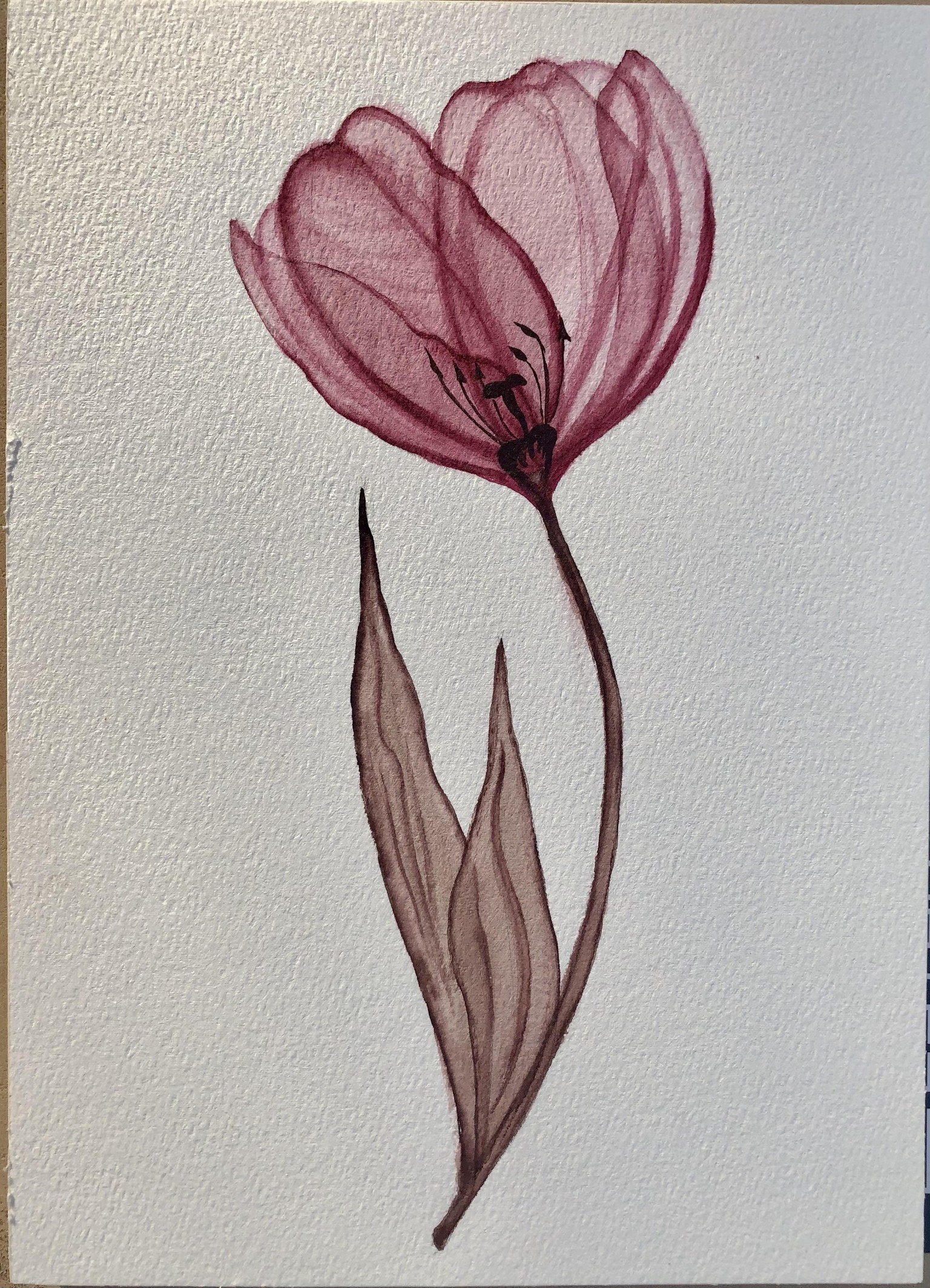 Painting Tulip - image 1 - student project