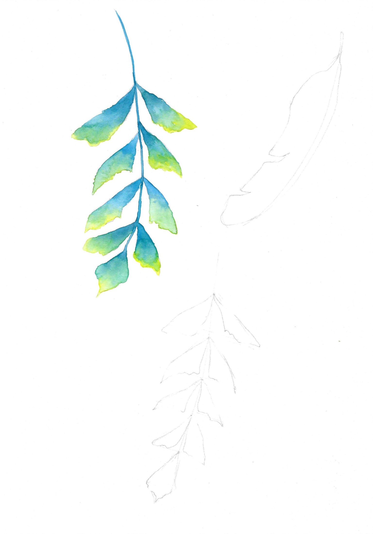 Tropical Foliage with Irina Trzaskos - image 1 - student project
