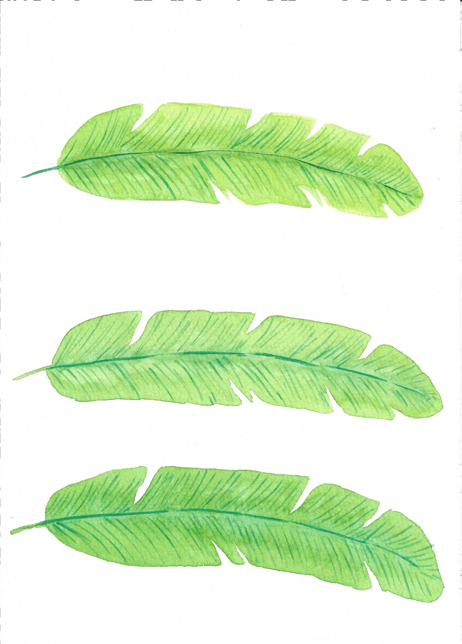 Tropical Foliage with Irina Trzaskos - image 2 - student project