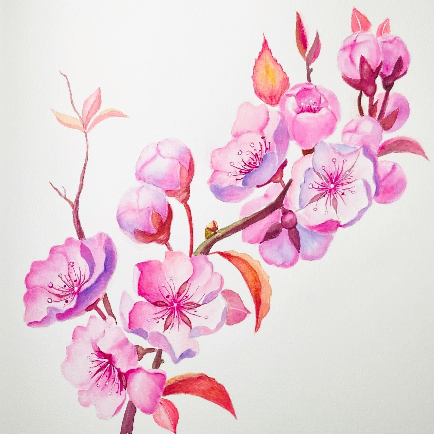 Watercolor Blossom - image 1 - student project