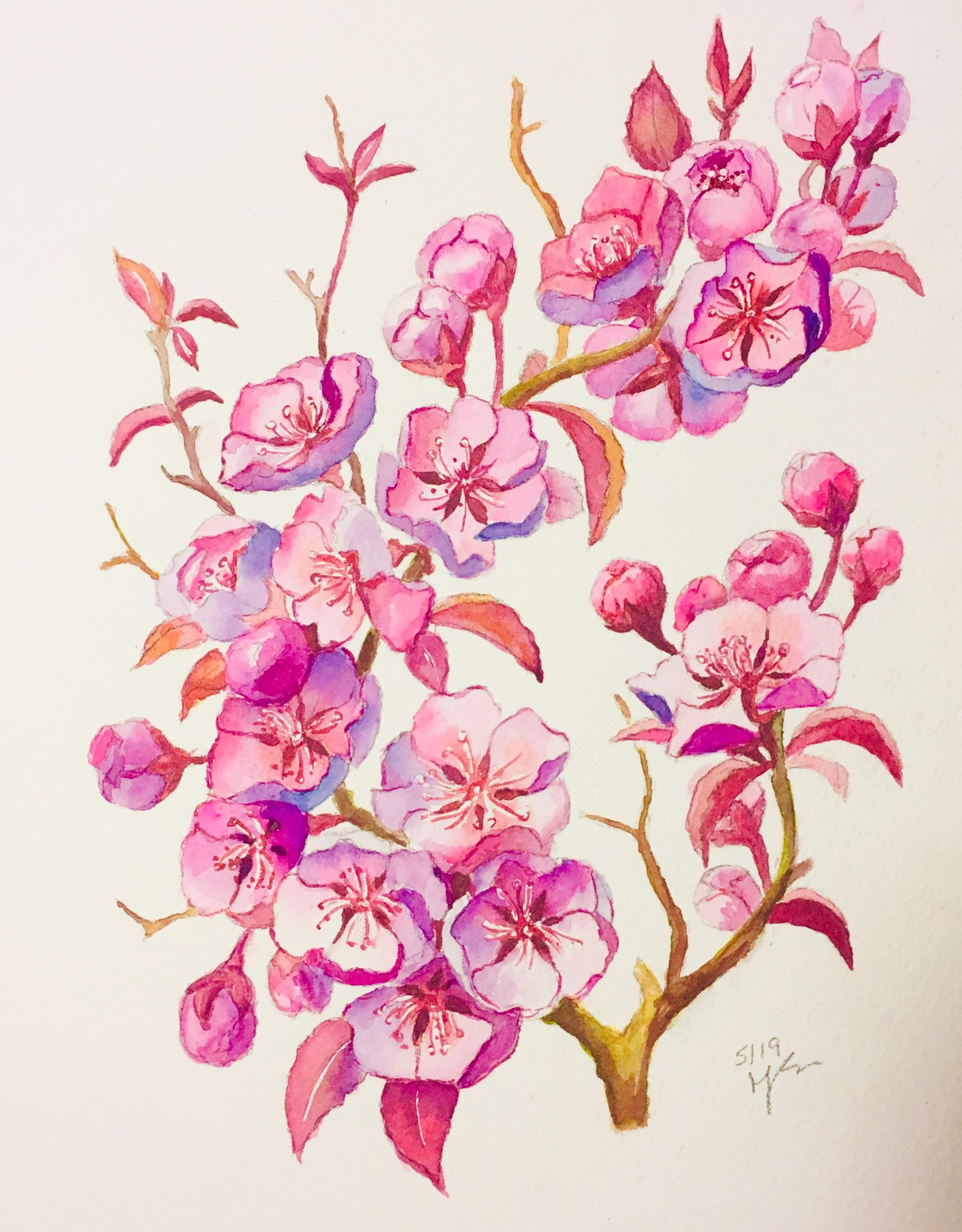 Watercolor Blossom - image 3 - student project