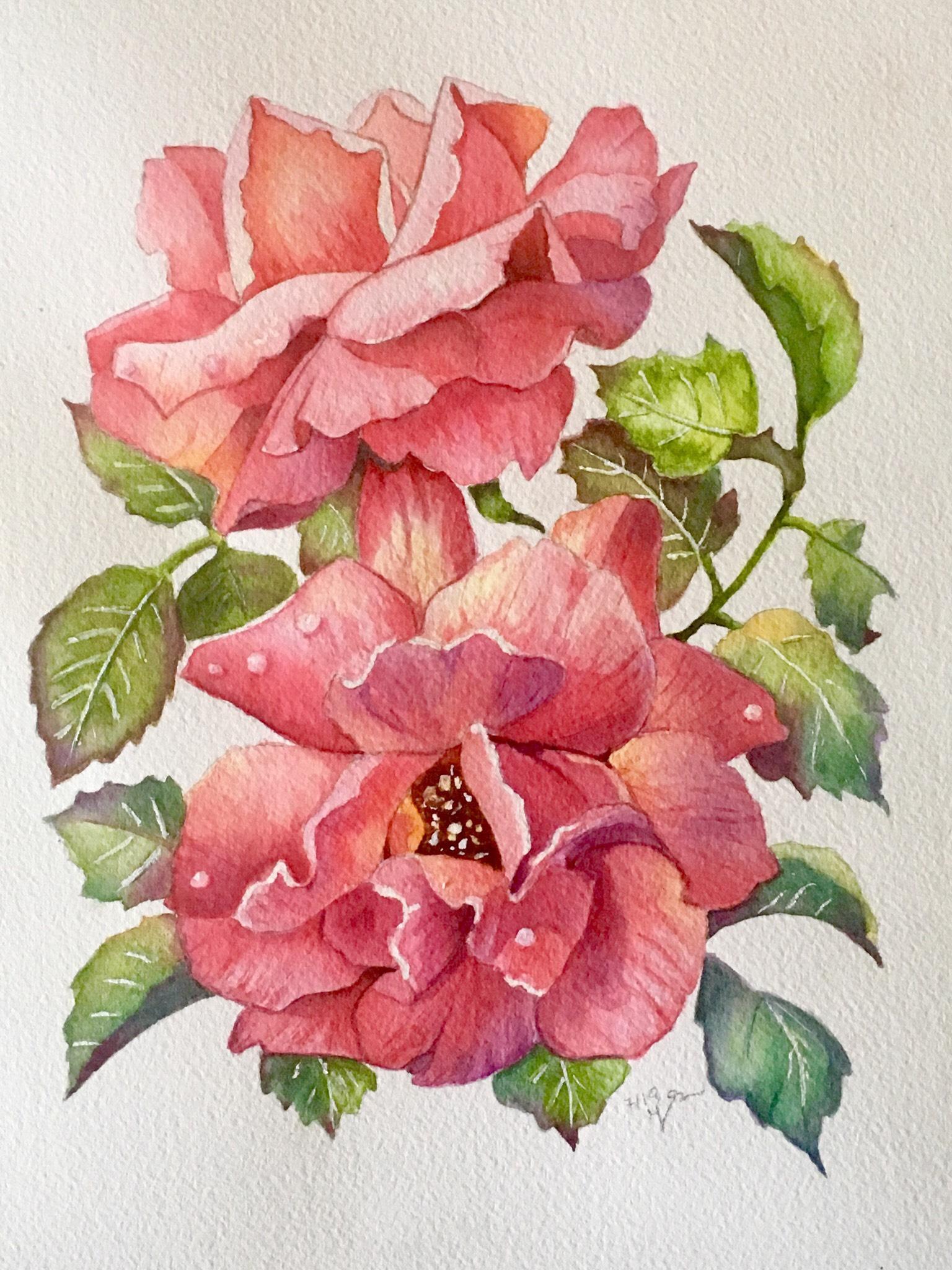 Watercolor Rose - image 1 - student project