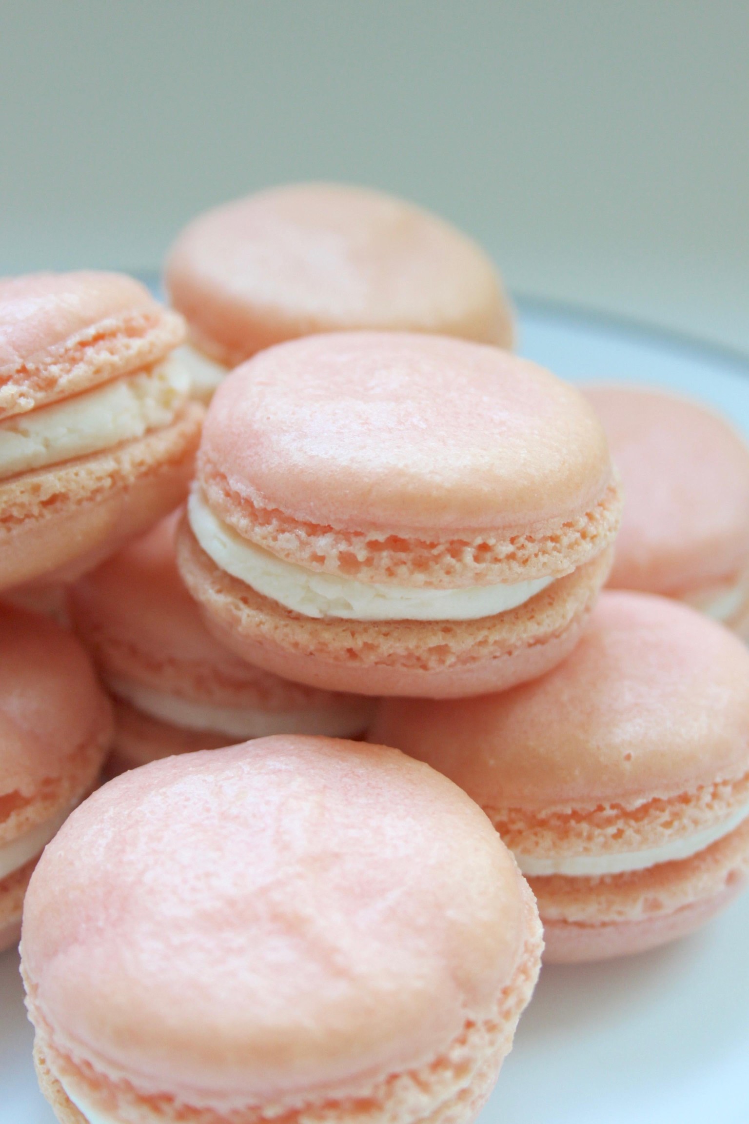 Pretty Pink Macarons for Valentine's Day - image 2 - student project