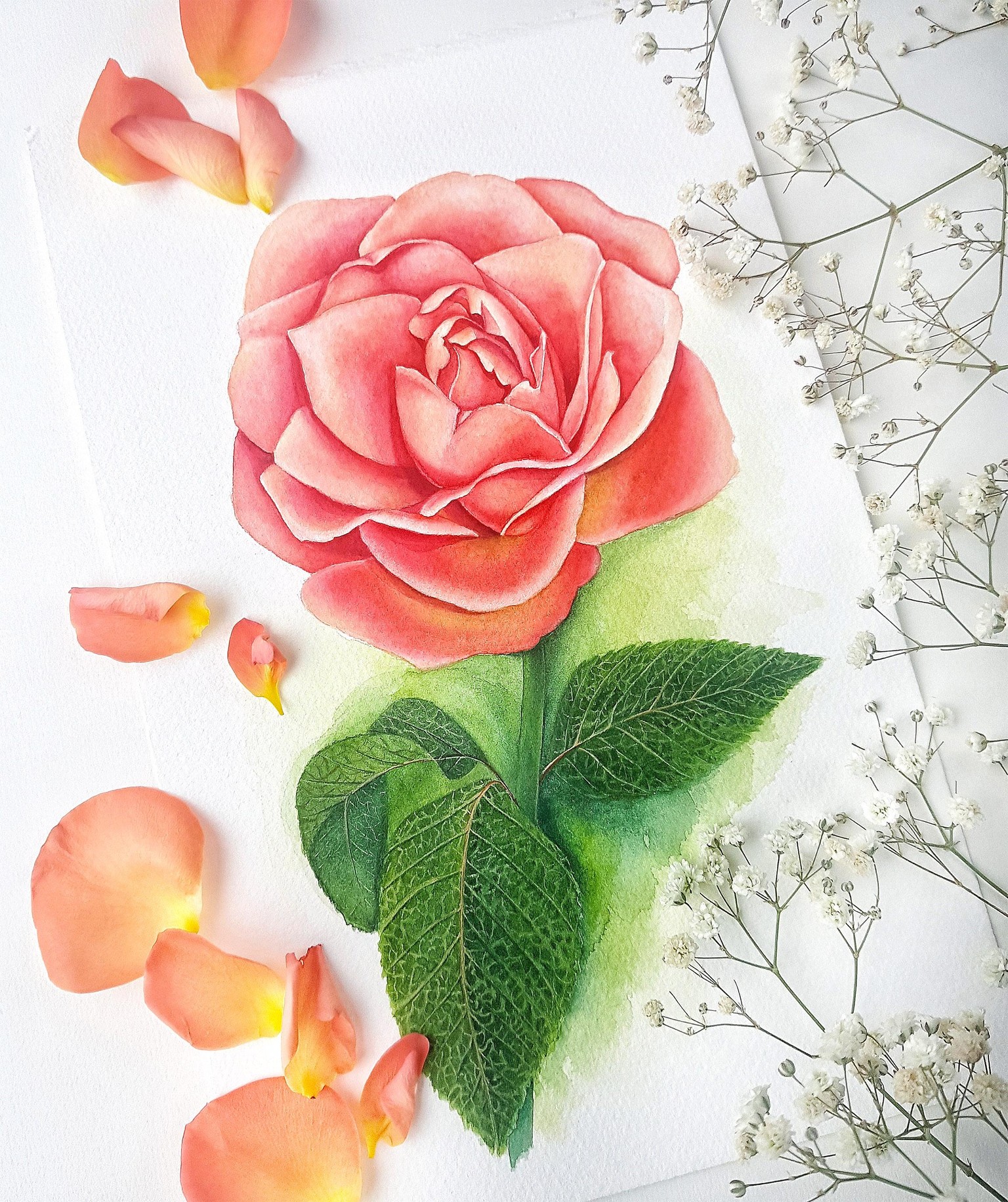 Three styles of Watercolour Roses - image 3 - student project