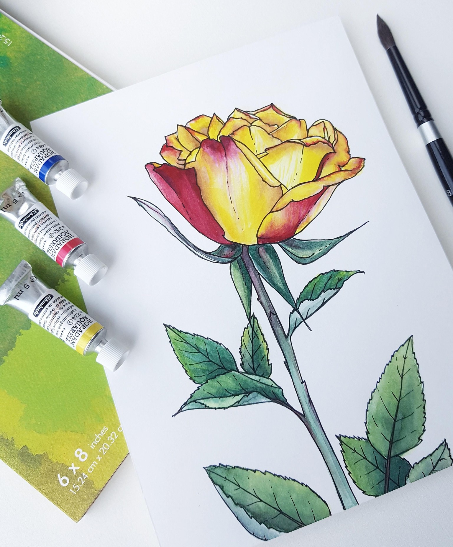 Three styles of Watercolour Roses - image 1 - student project