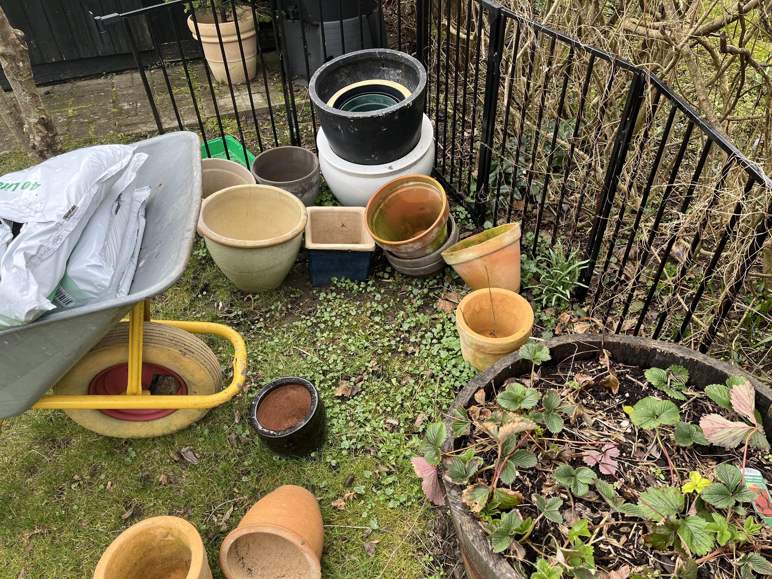 My first pot-garden - image 1 - student project