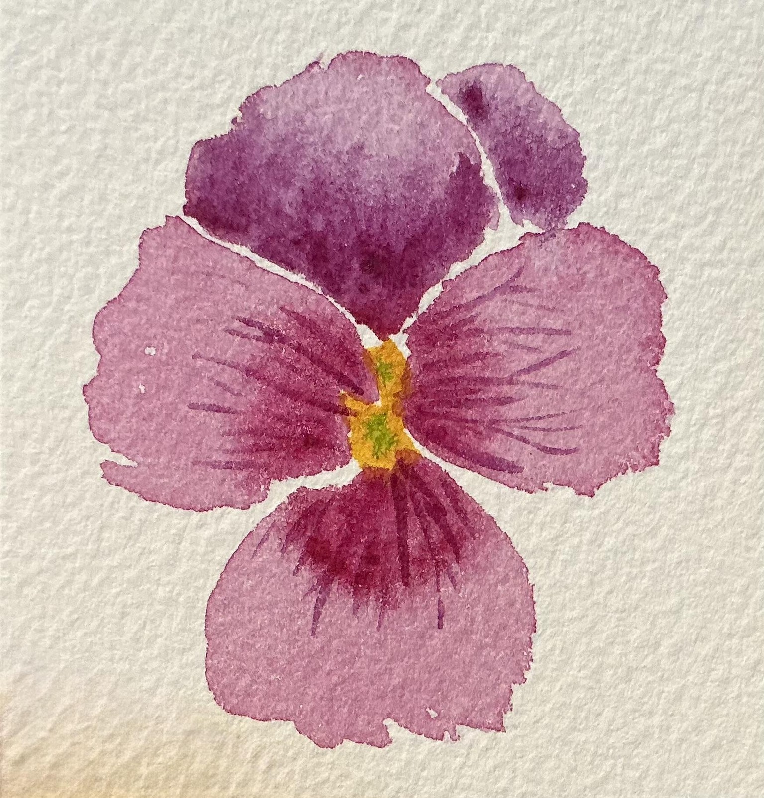 Fun Pansy - image 1 - student project