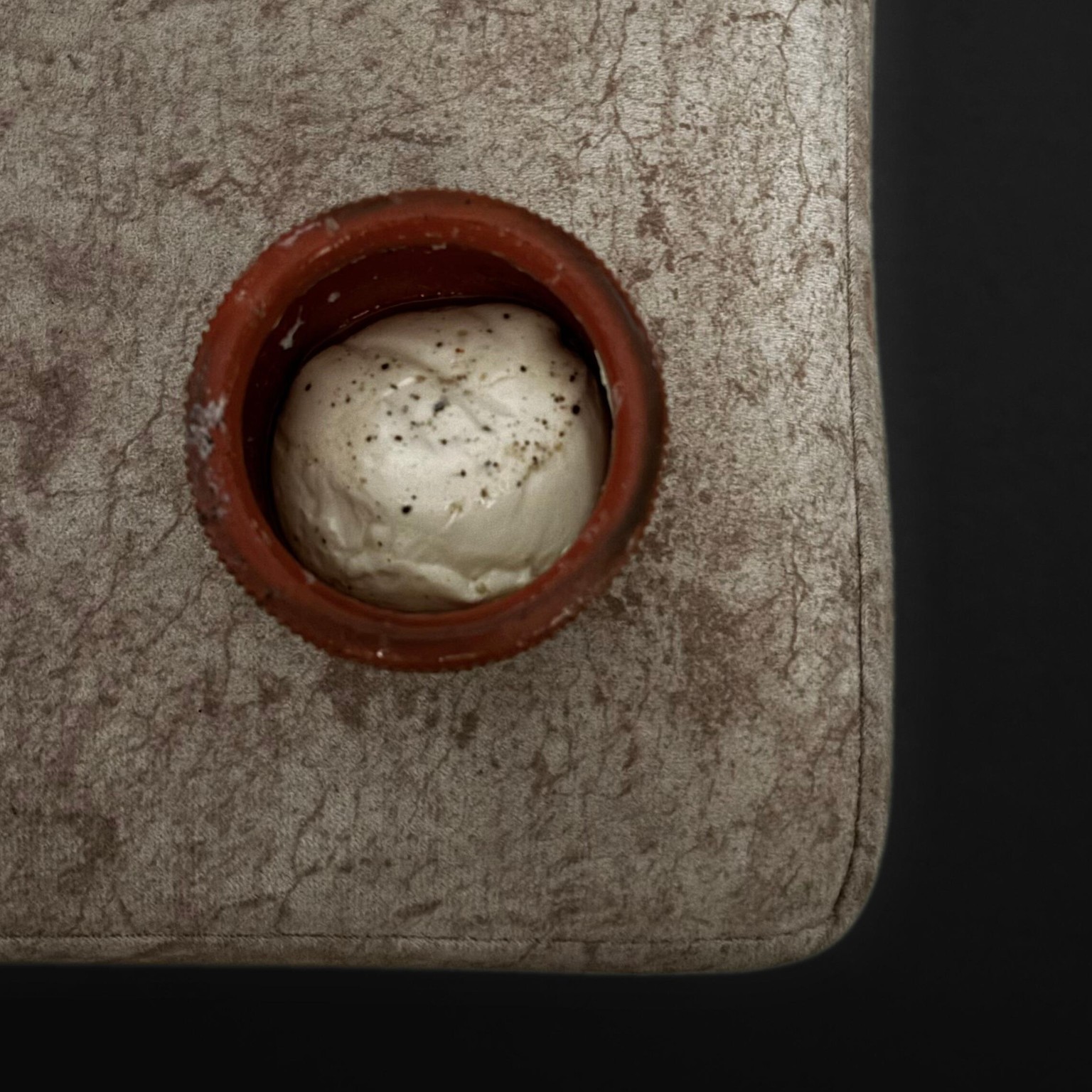 Authentic Indian Milk form - Junnu - image 1 - student project
