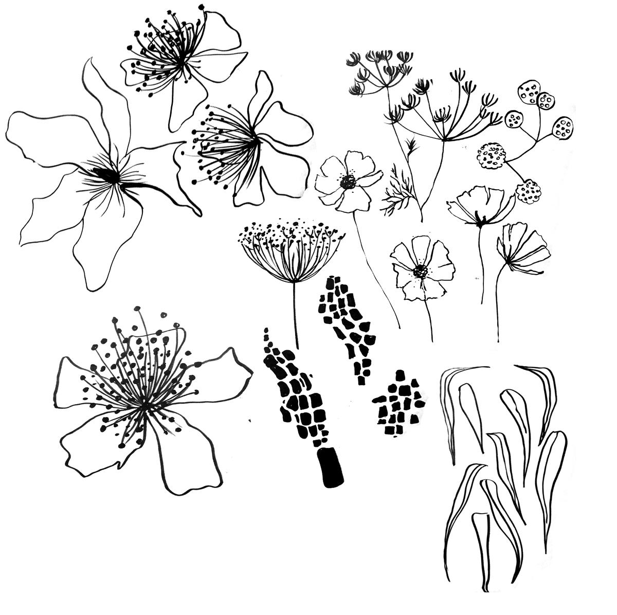 F L O R A   S O C I A L - image 1 - student project
