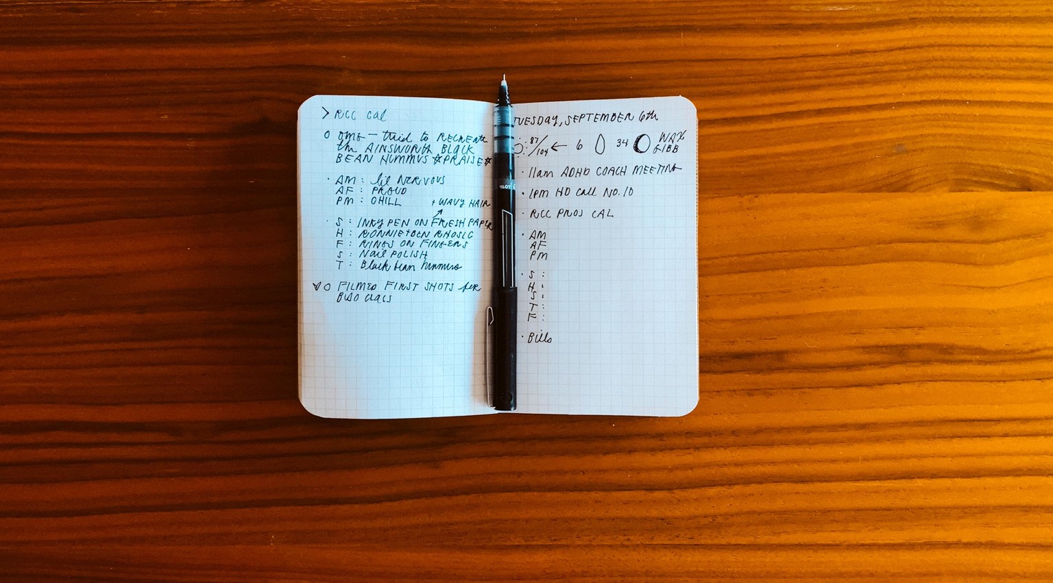 My First Fully Filled Bujo - image 4 - student project