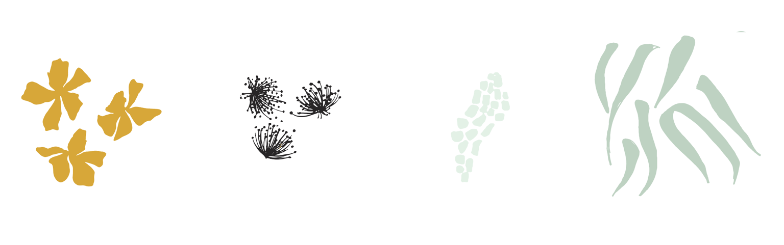 F L O R A   S O C I A L - image 2 - student project