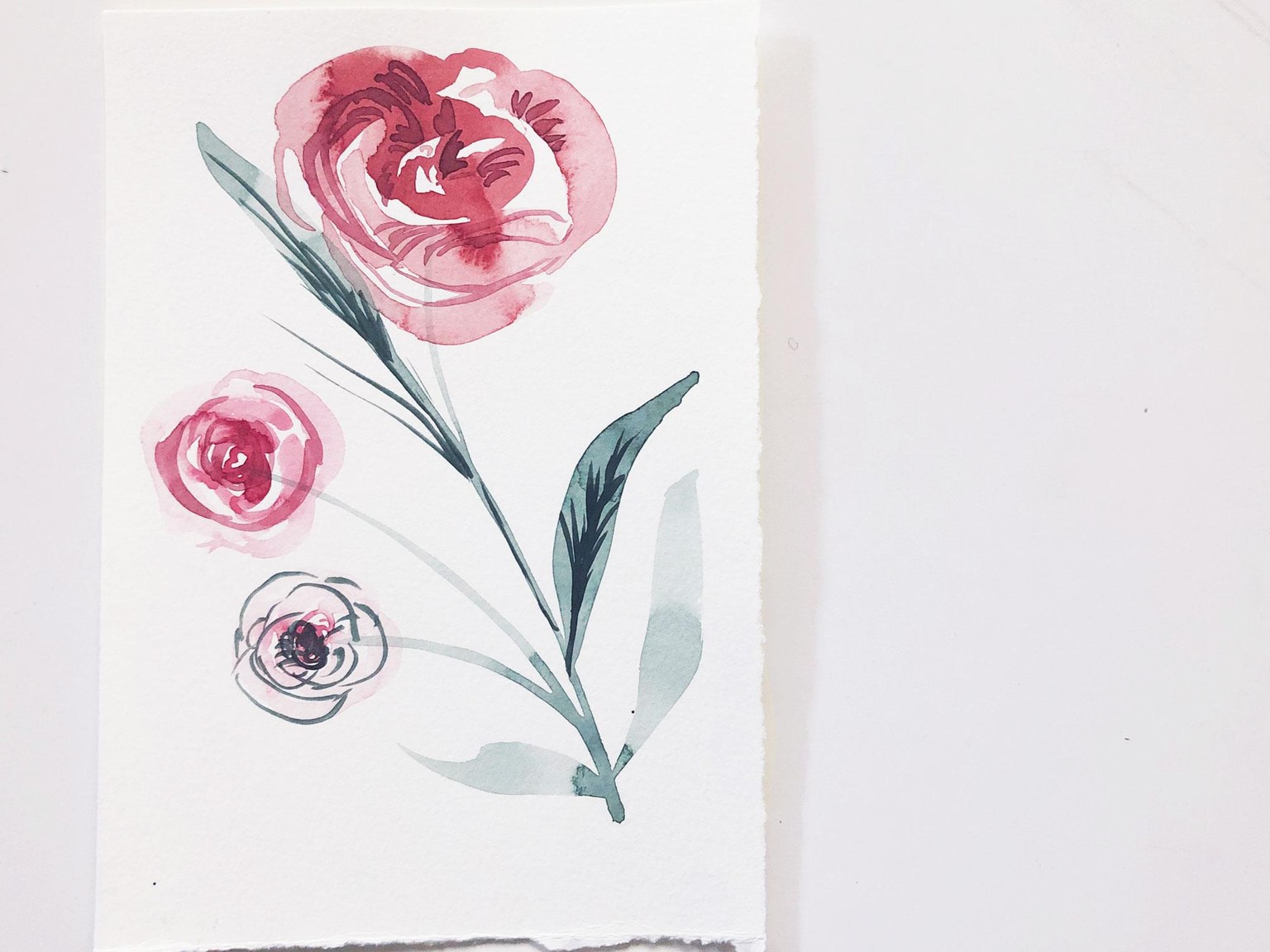 Watercolor Exploration - image 2 - student project