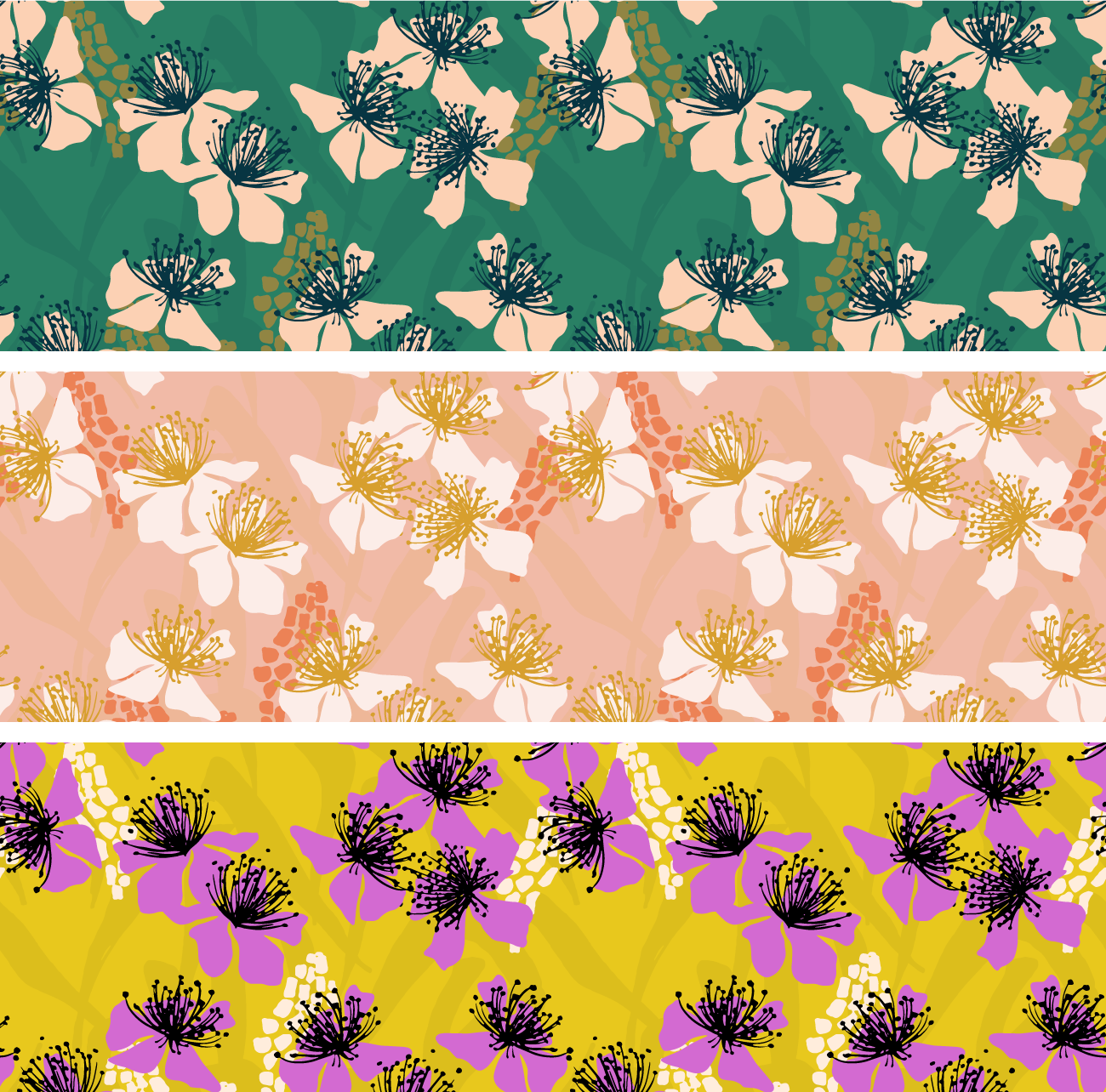 F L O R A   S O C I A L - image 4 - student project