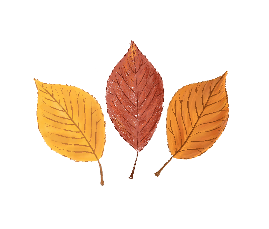Autumn leaves - image 1 - student project